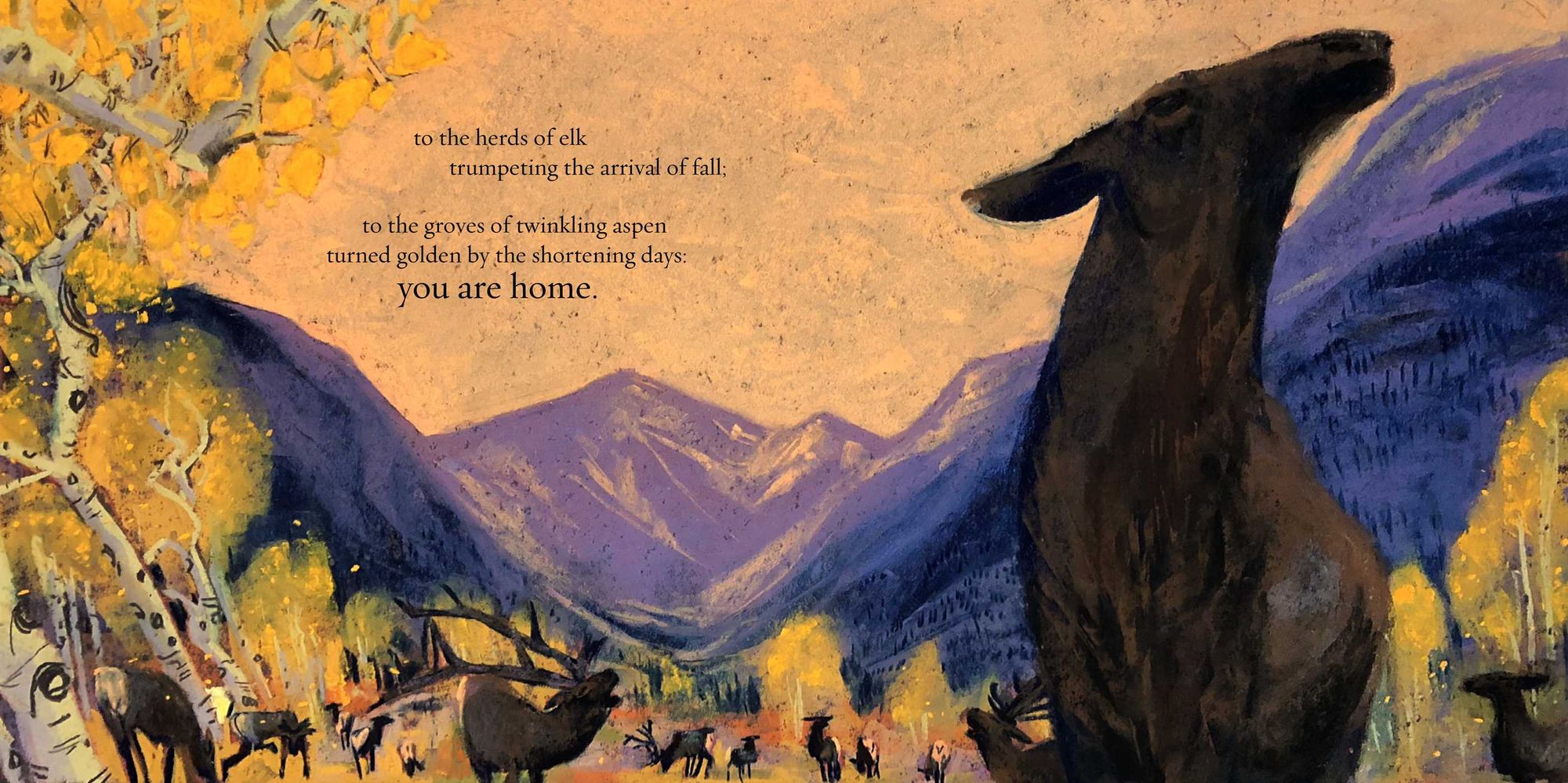You Are Home: An Ode to the National Parks
