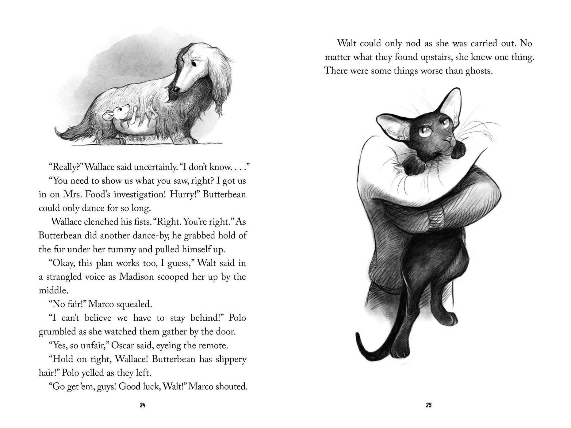 The Great Ghost Hoax