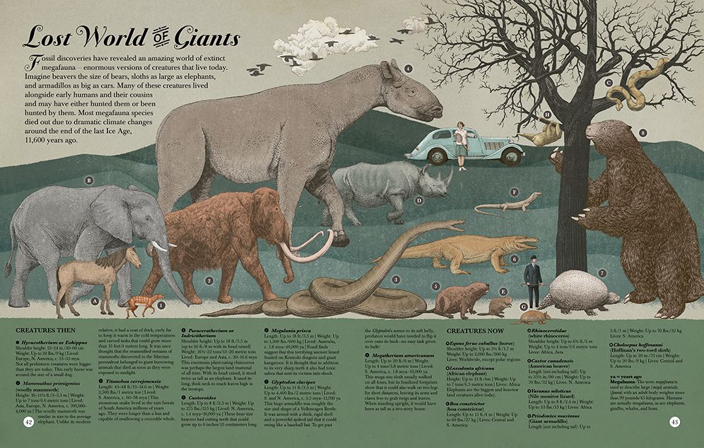 Highest Mountain, Smallest Star: A Visual Compendium of Wonders