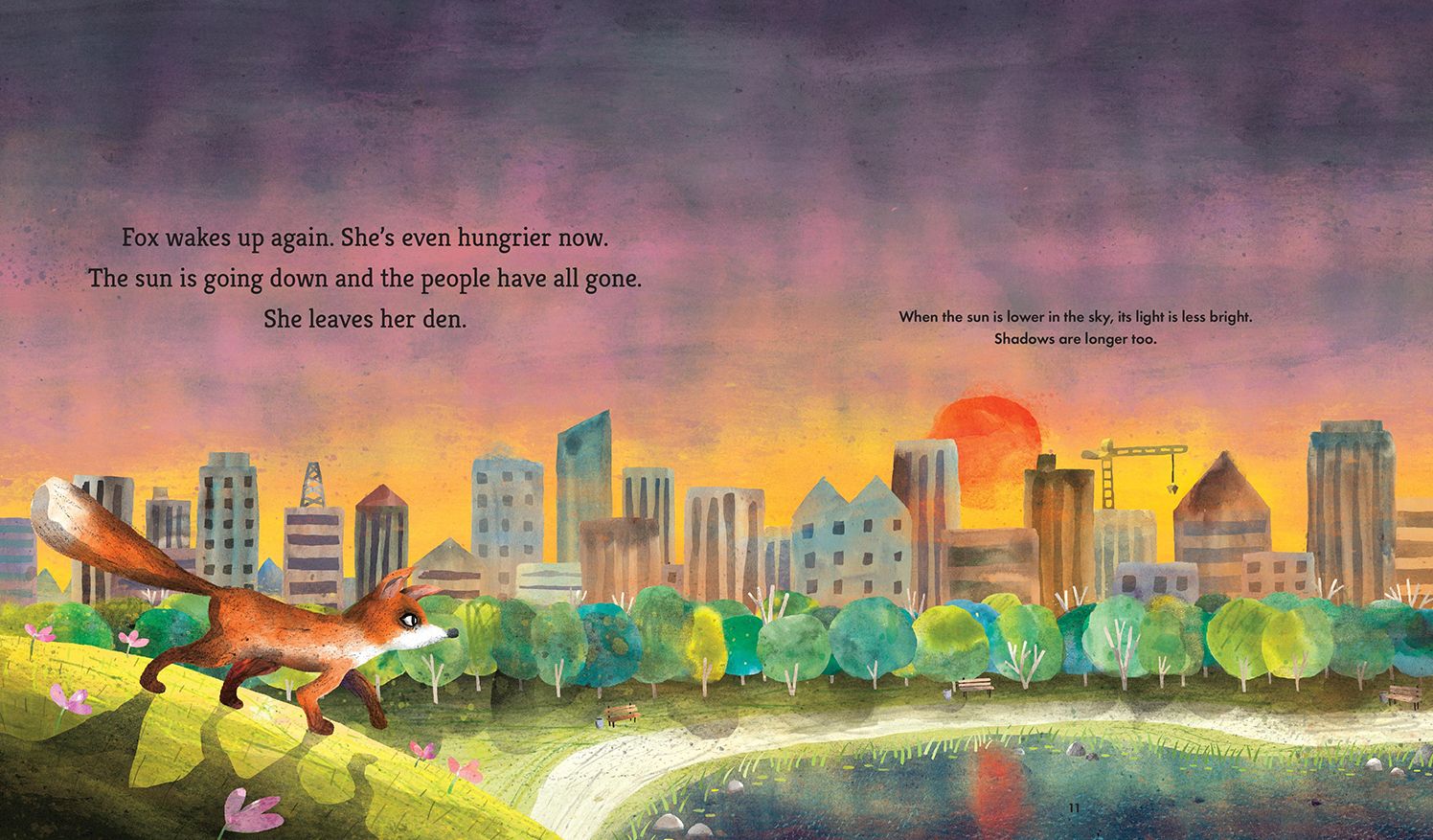 Fox Explores the Night: A First Science Storybook