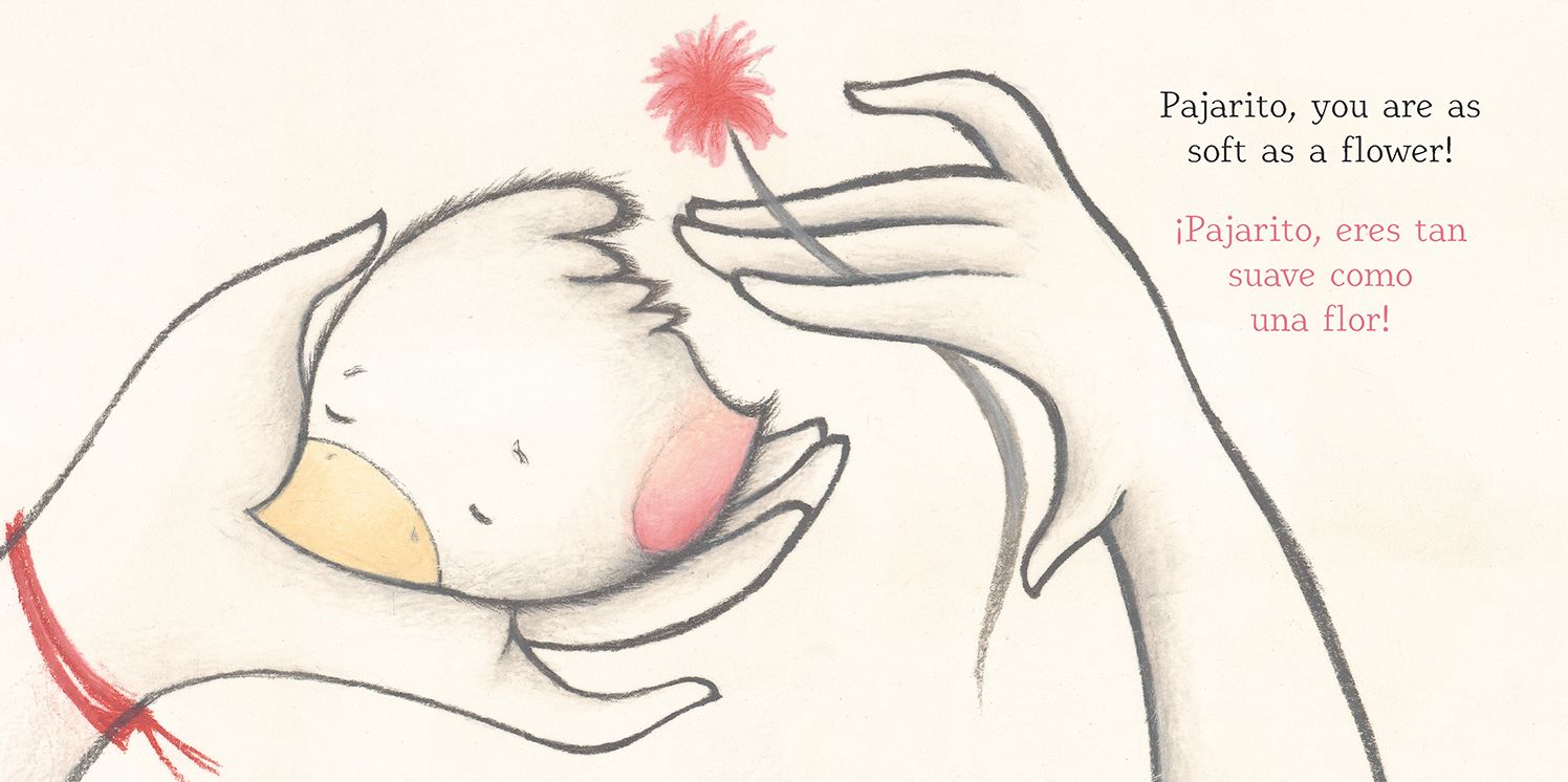 Alma, Head to Toe/Alma, de pies a cabeza: (Interactive Bilingual Board Book for Kids Ages 2-5 Teaching Body Parts in English & Spanish)