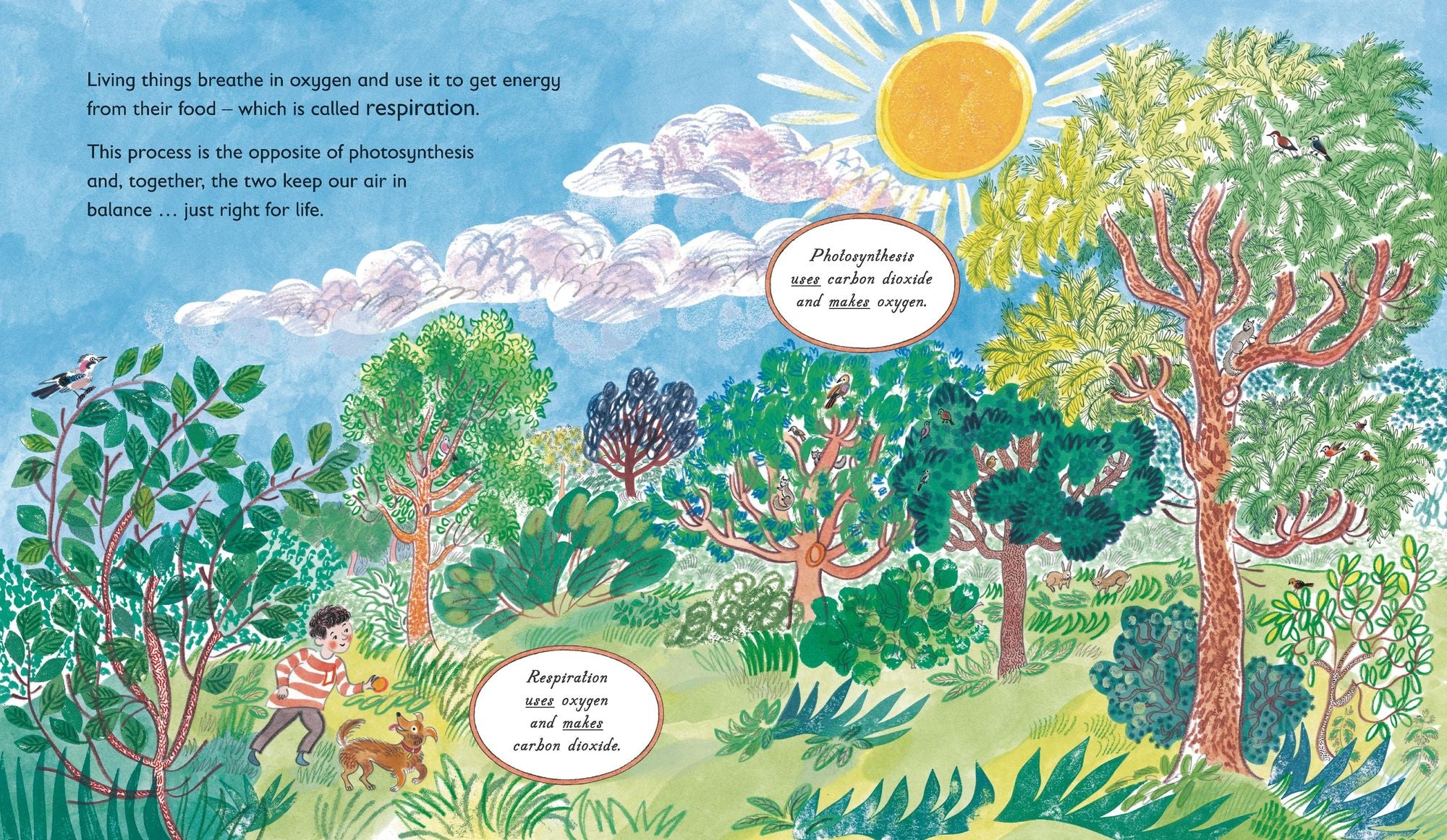 Green: The Story of Plant Life on Our Planet