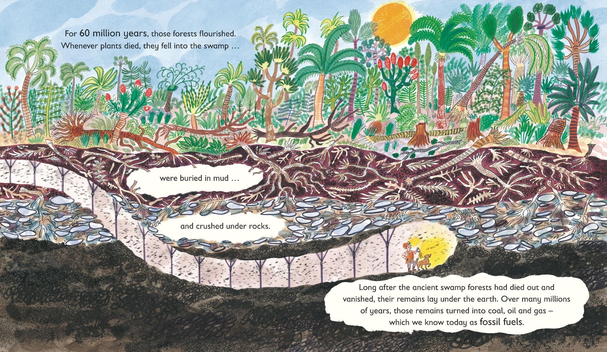 Green: The Story of Plant Life on Our Planet