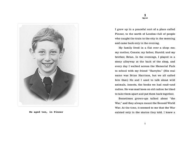 The Missing: The True Story of My Family in World War II