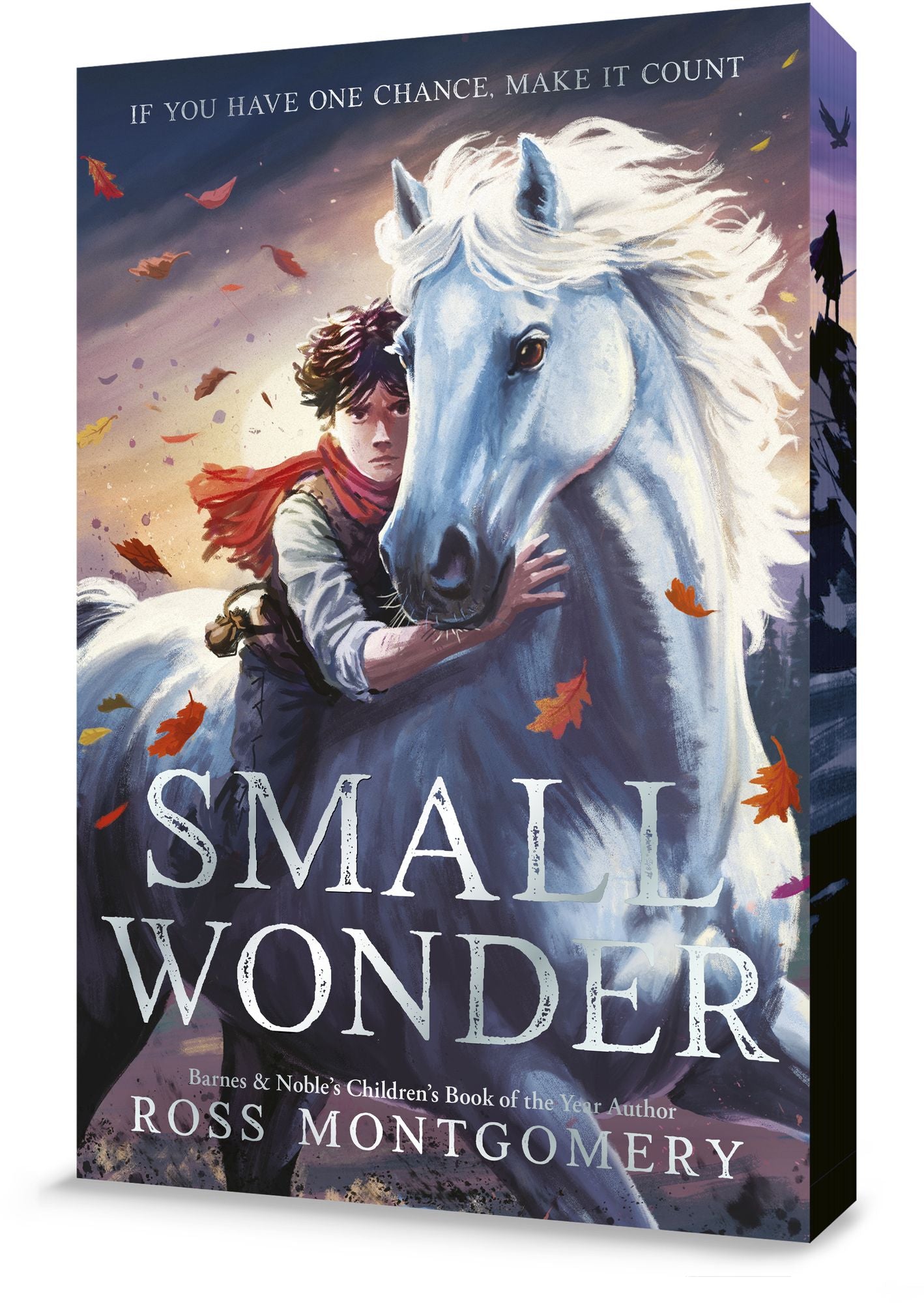 Small Wonder (B&N Exclusive Edition)