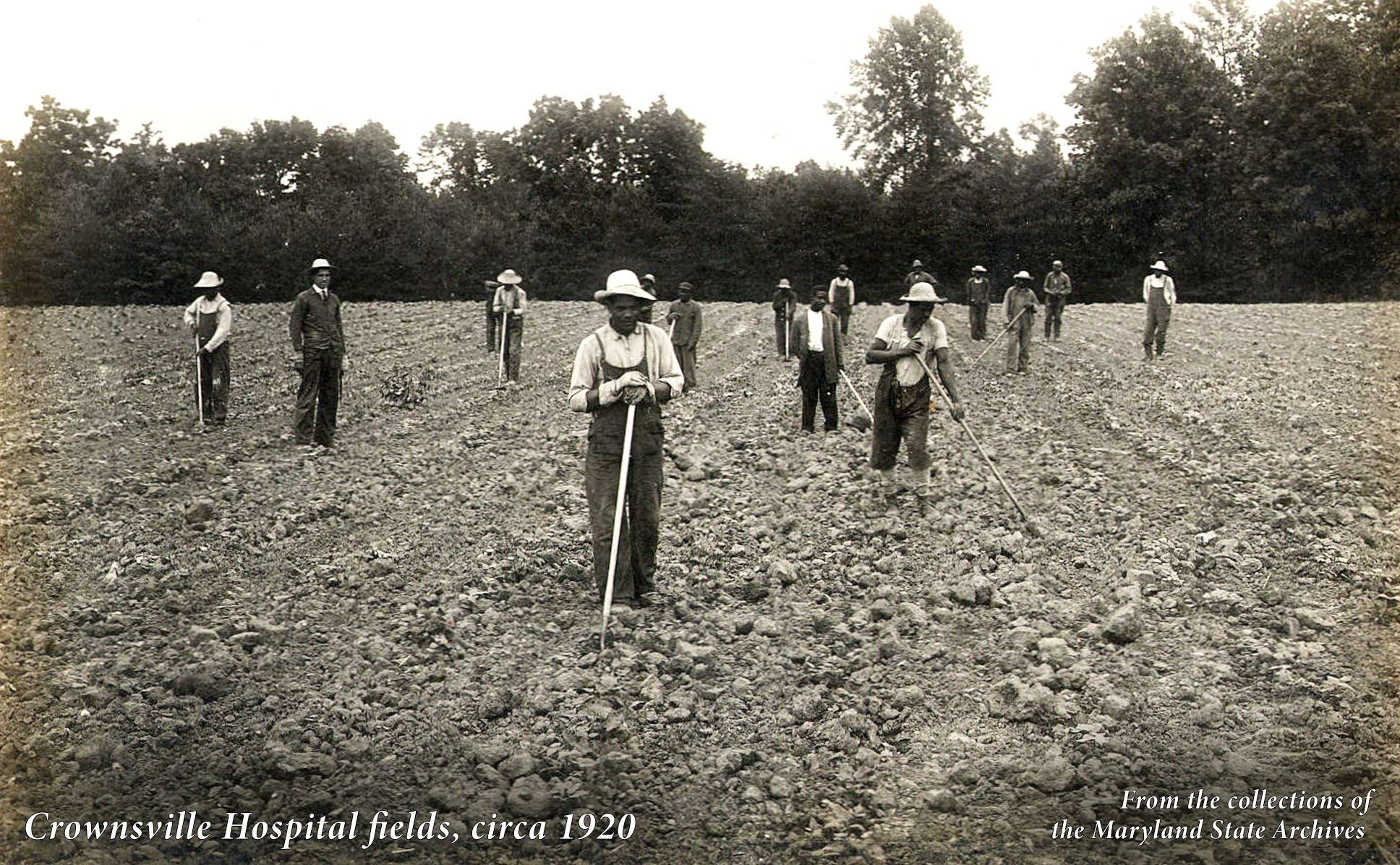 Madness: Race and Insanity in a Jim Crow Asylum