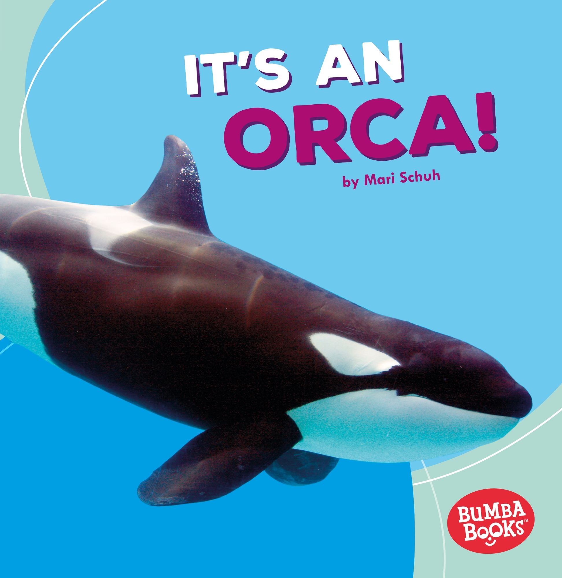 It's an Orca!