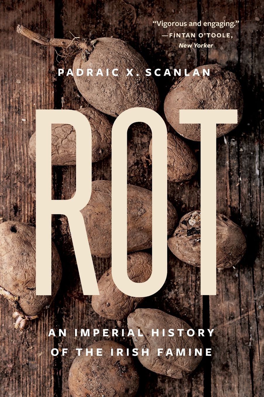 Rot: An Imperial History of the Irish Famine