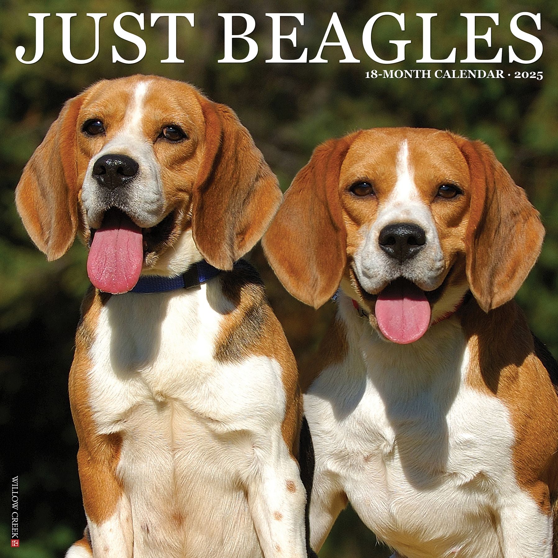 Beagles 2026 Wall Calendar