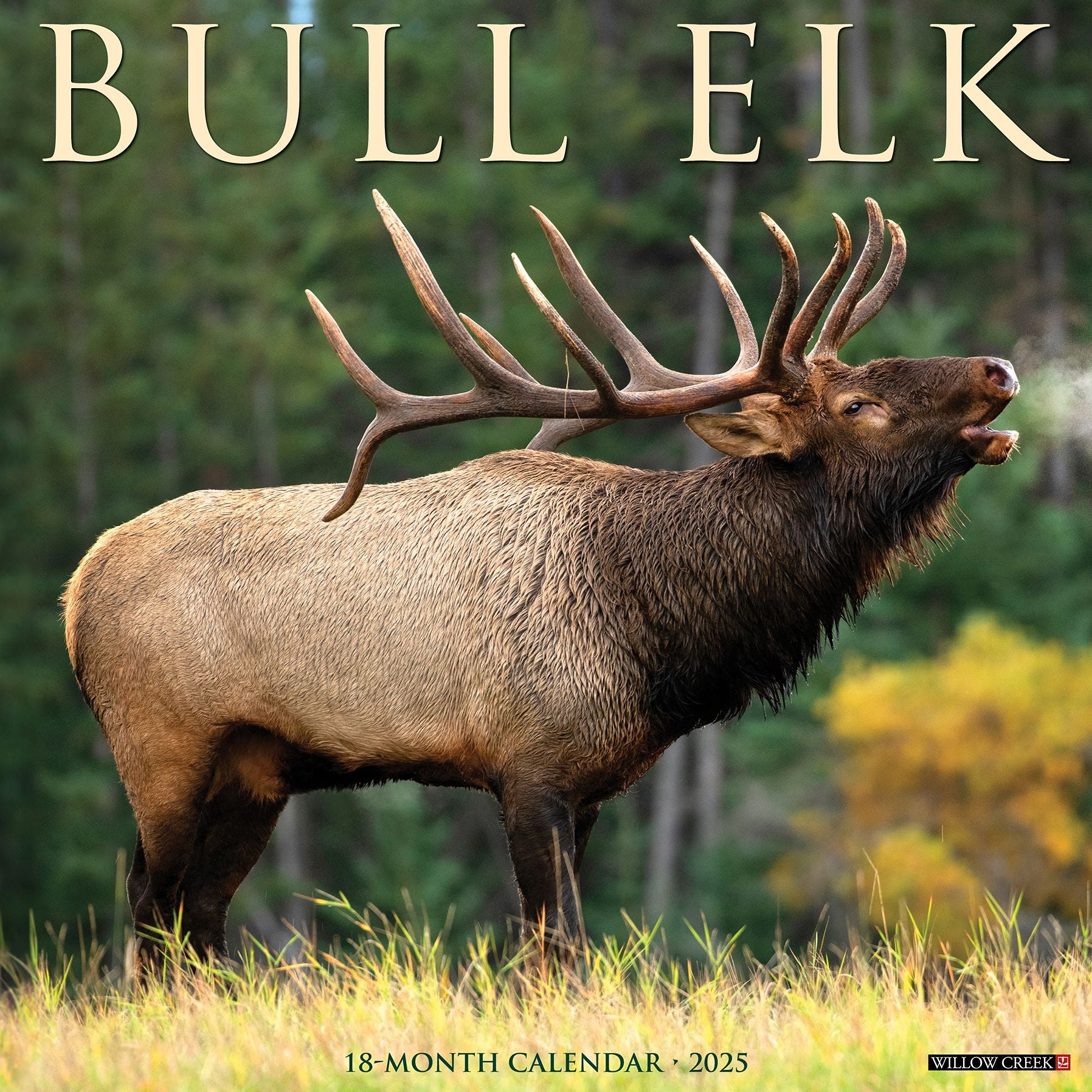 Bull Elk 2026 Wall Calendar