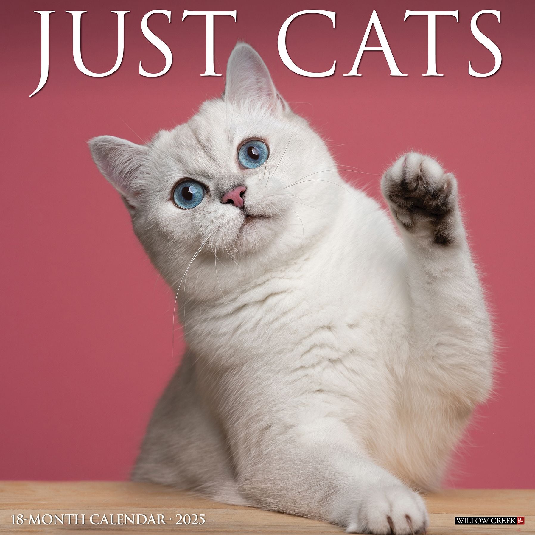 Cats 2026 Wall Calendar