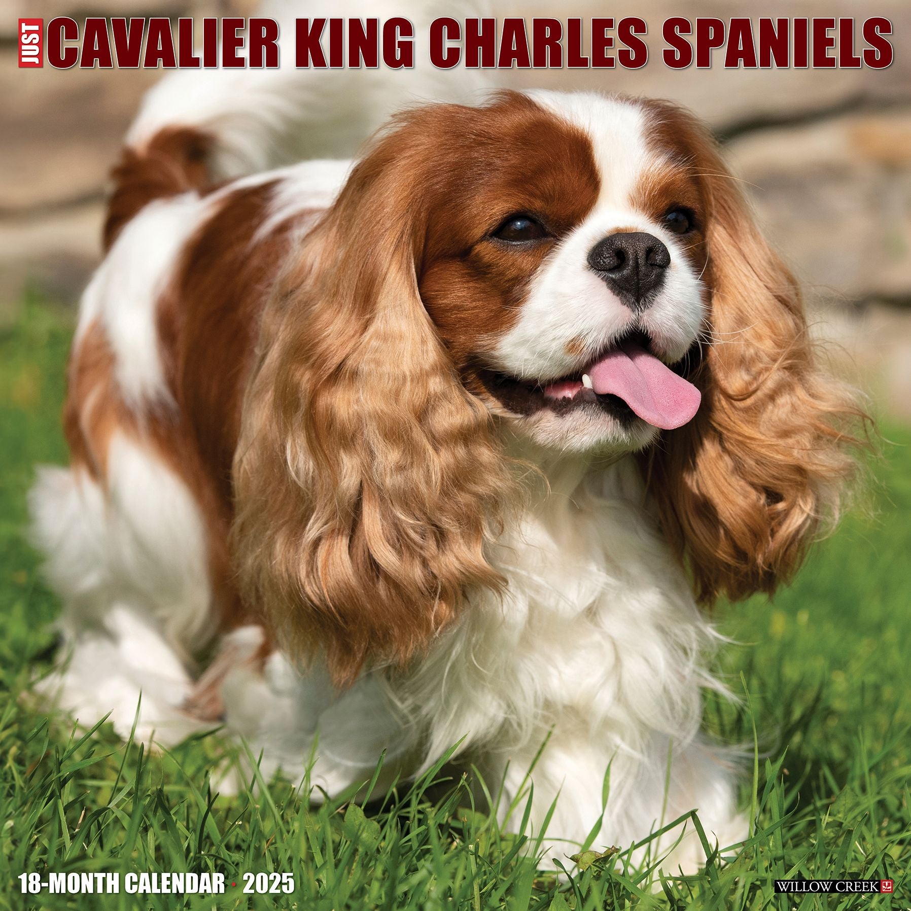 Cavalier King Charles Spaniels 2026 Wall Calendar
