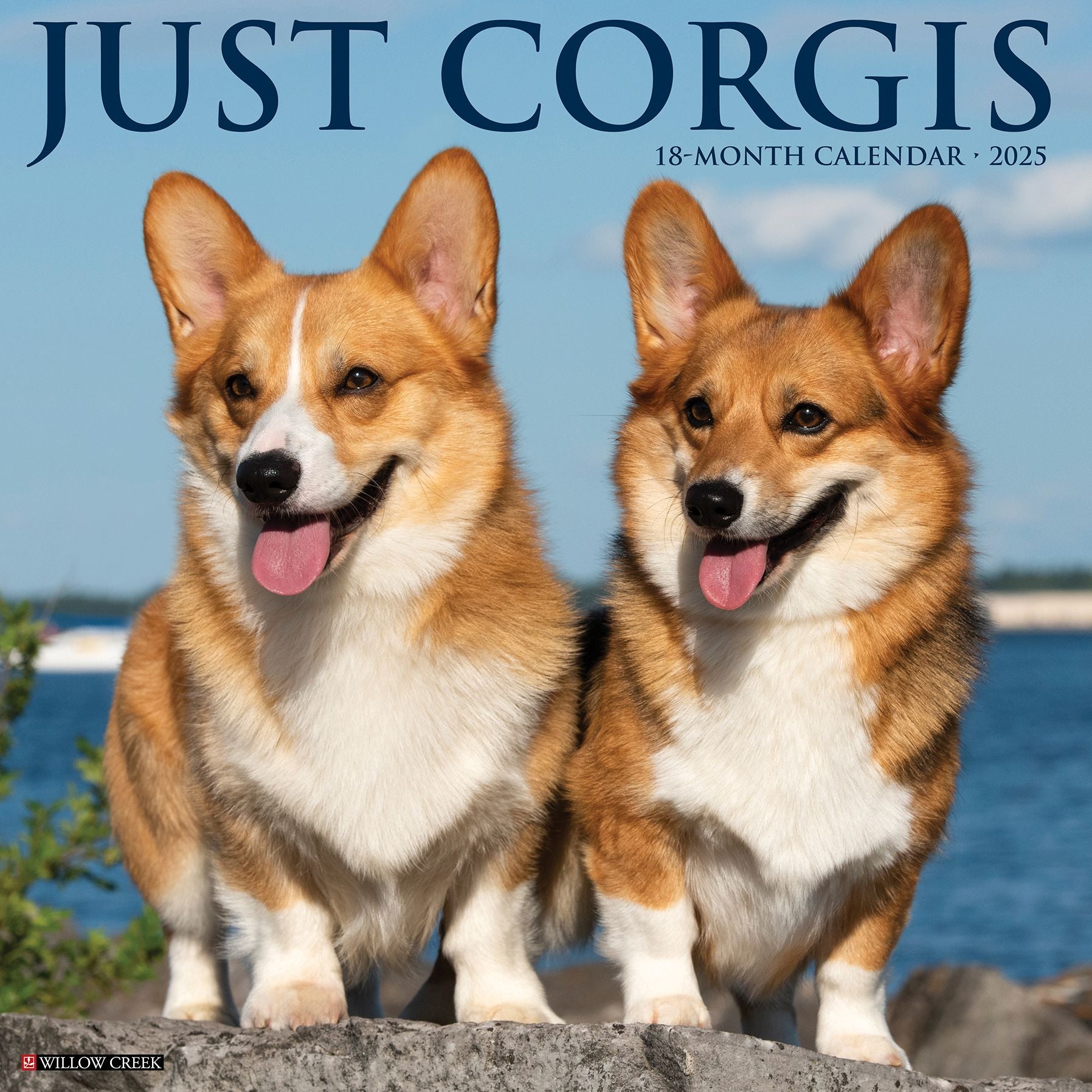 Corgis 2026 Wall Calendar