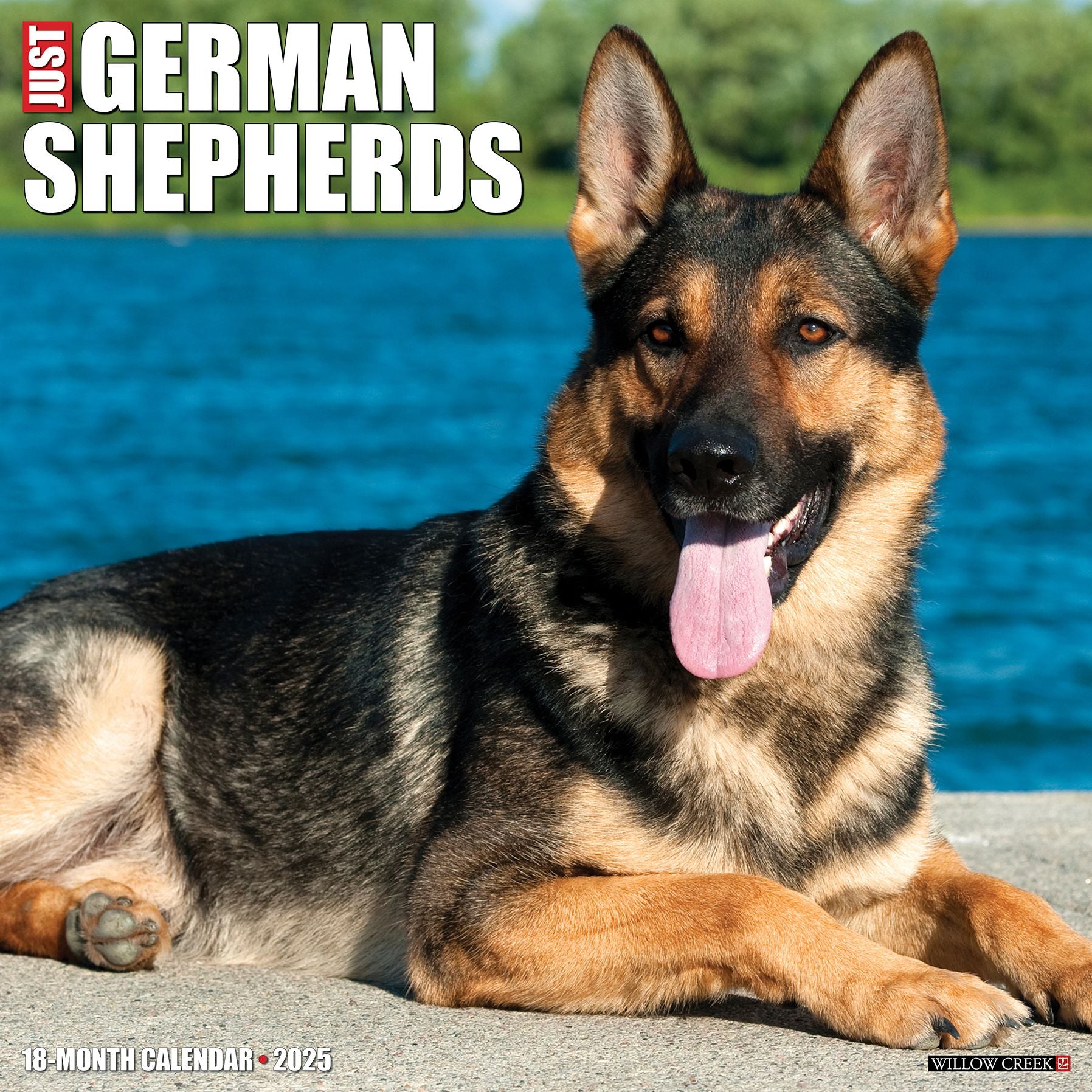 German Shepherds 2026 Wall Calendar