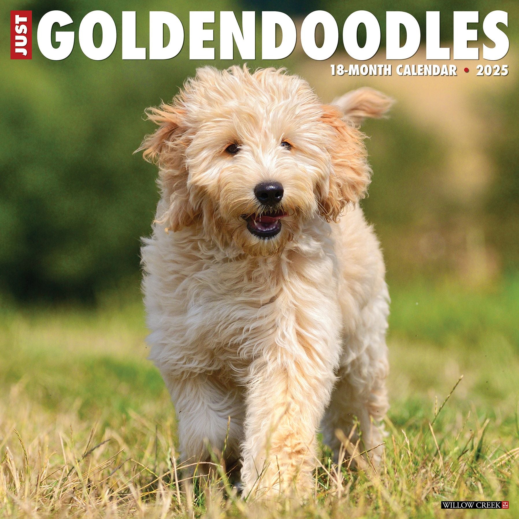 Goldendoodles 2026 Wall Calendar