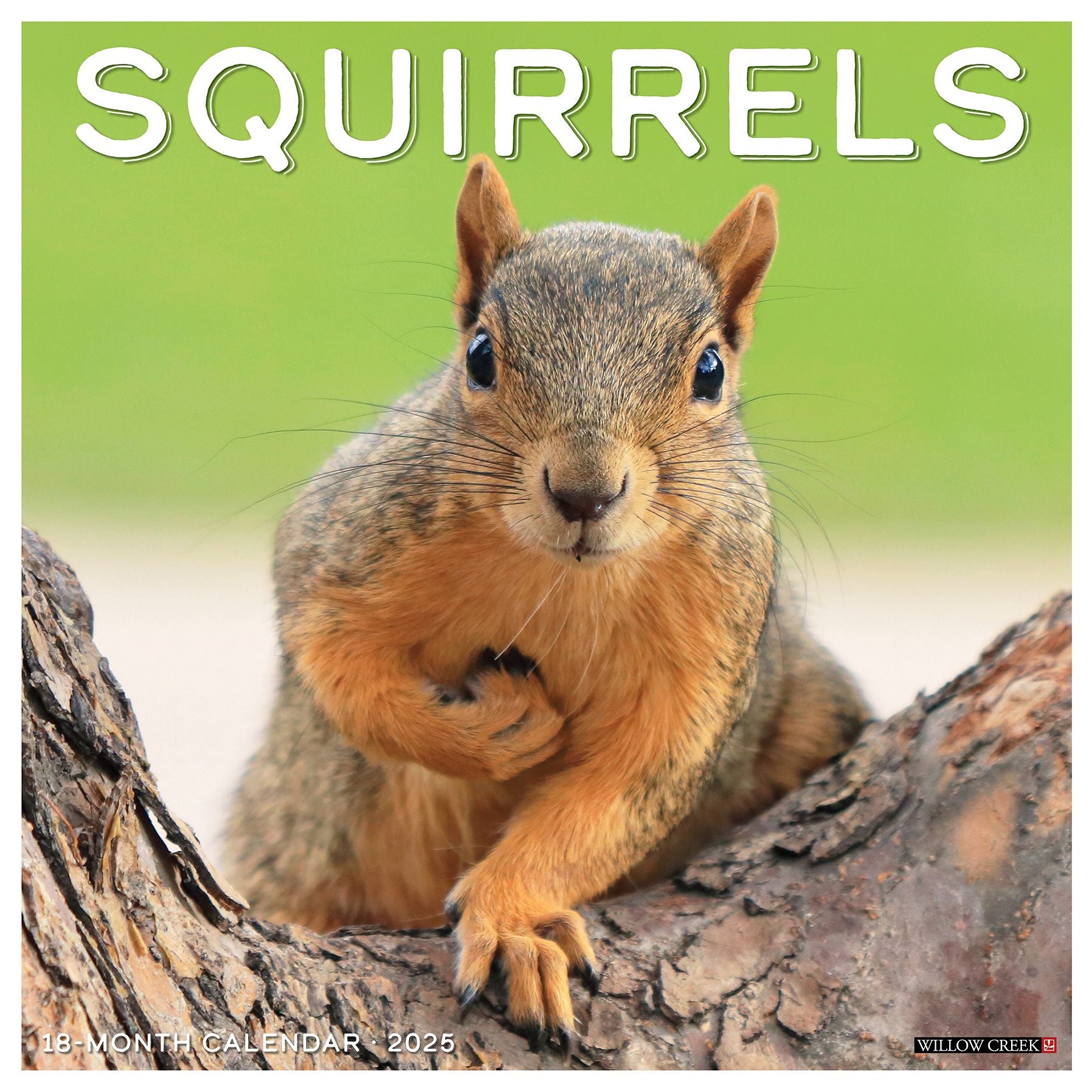 Squirrels 2026 Wall Calendar