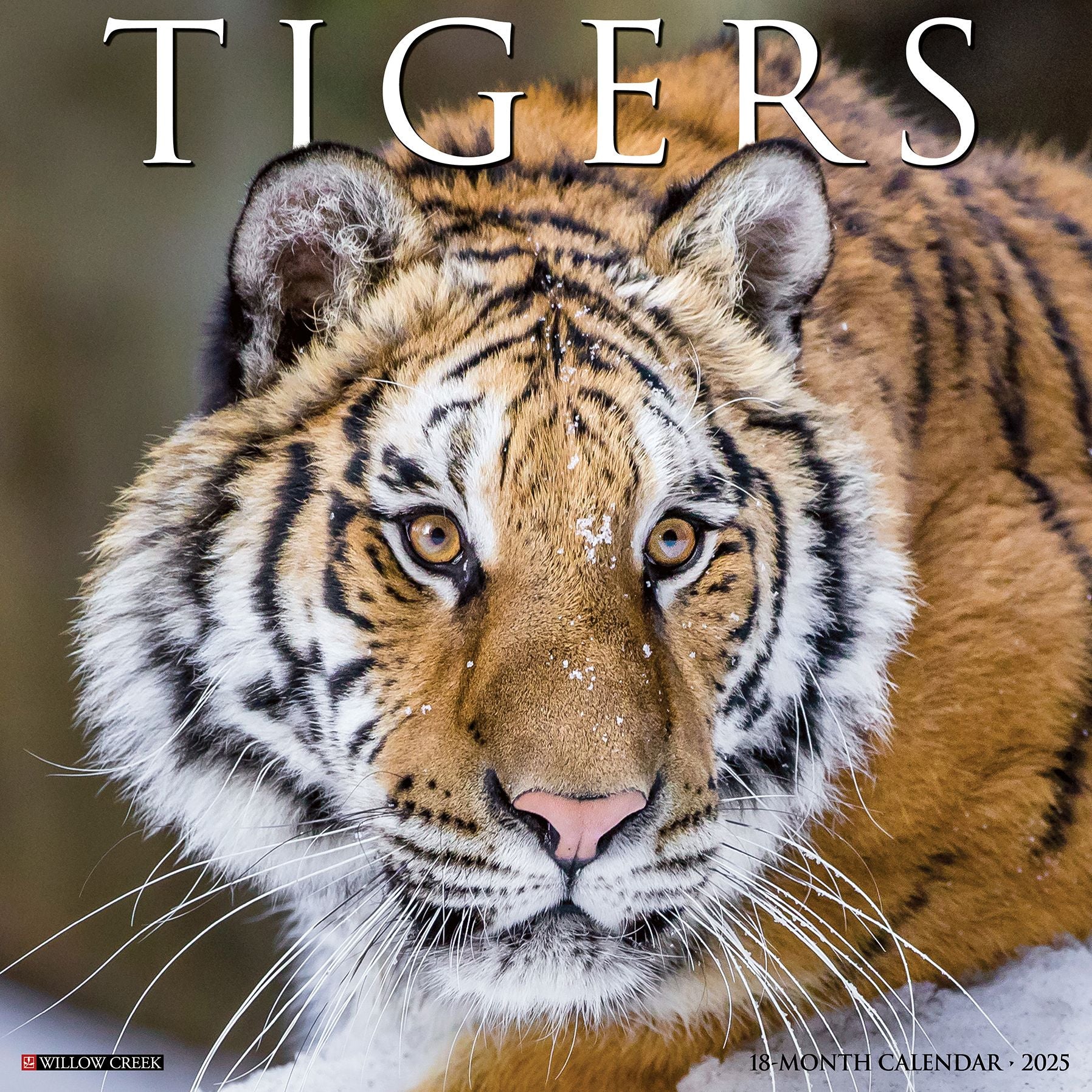 Tigers 2026 Wall Calendar
