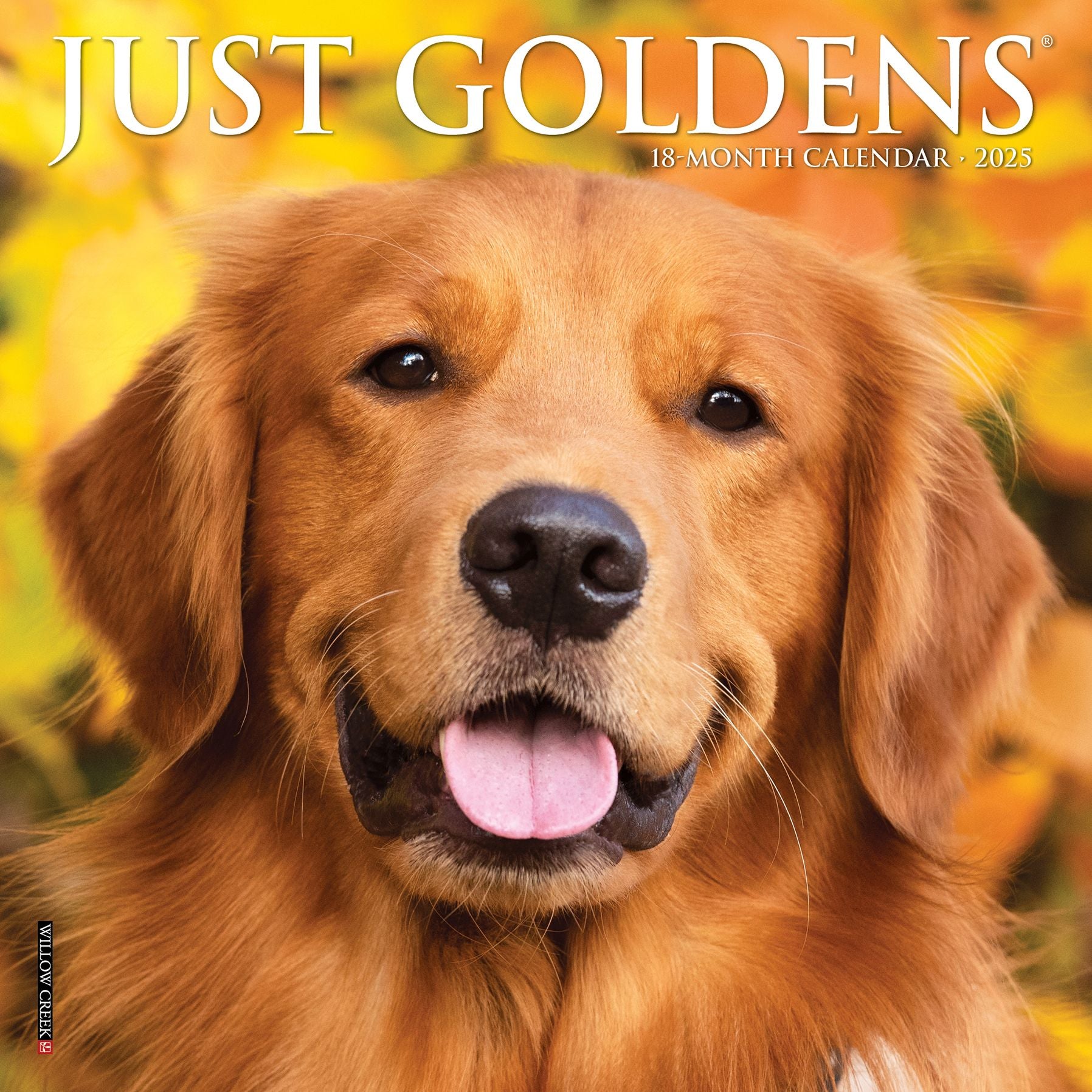 Just Goldens 2026 Mini Wall Calendar