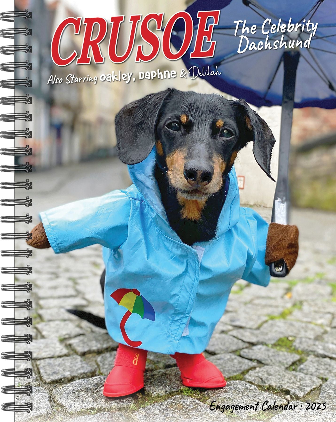 Crusoe the Celebrity Dachshund 2026 Engagement Calendar