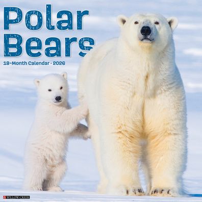 Polar Bears 2026 Wall Calendar