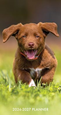 Puppy Love 2-Year 2026-27 3.5 X 6.5 Monthly Pocket Planner