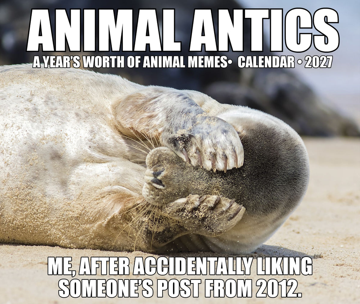 2027 Animal Antics Daily Desktop Box Calendar