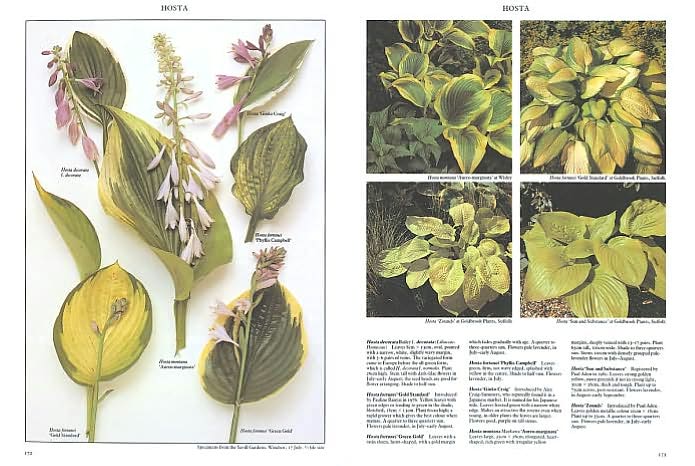 Perennials: The Definitive Reference With Over 2,500 Photographs