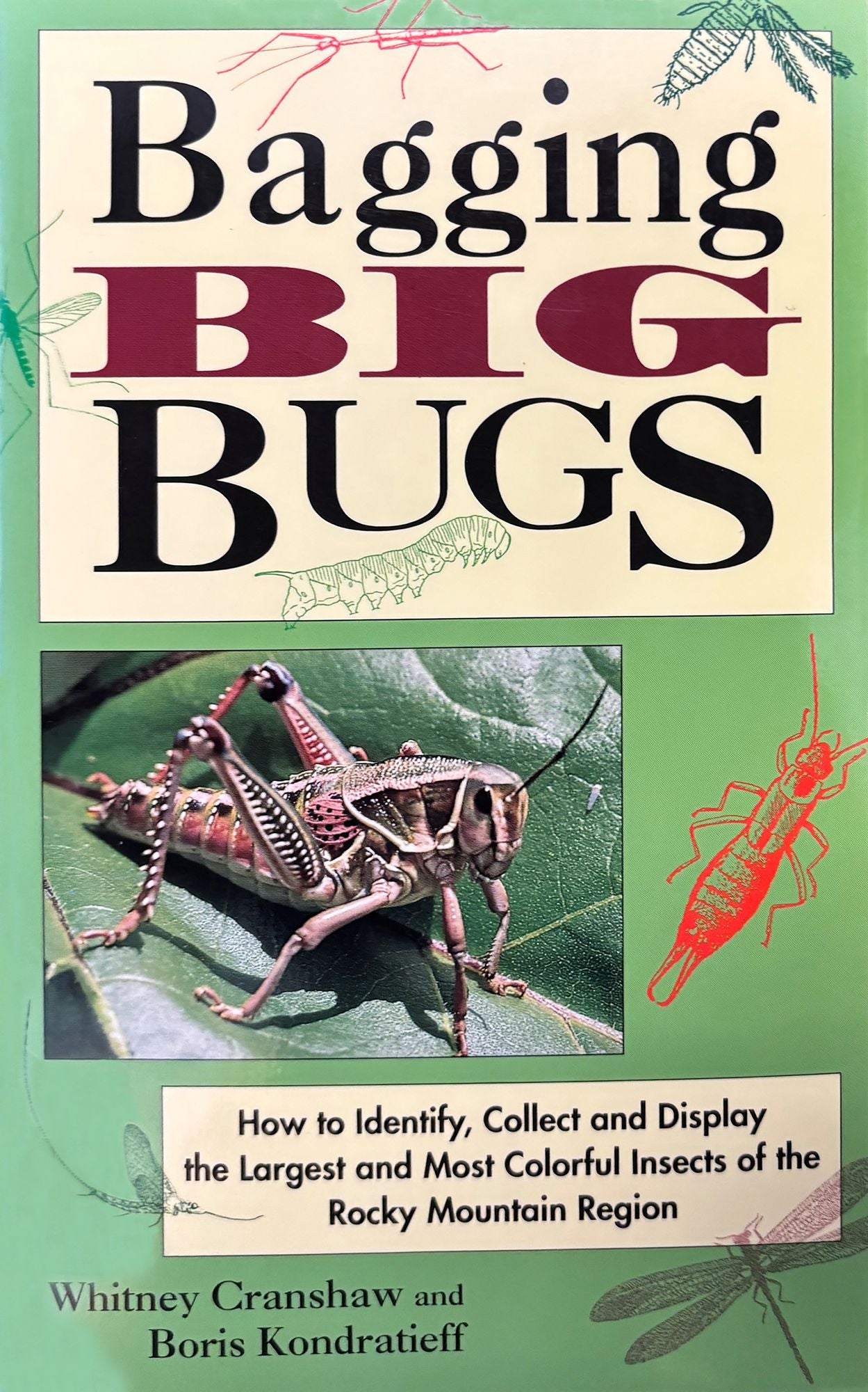 Bagging Big Bugs: How to Identify, Collect and Display the Largest and Most colorful Insects of the Rocky Mountain Region
