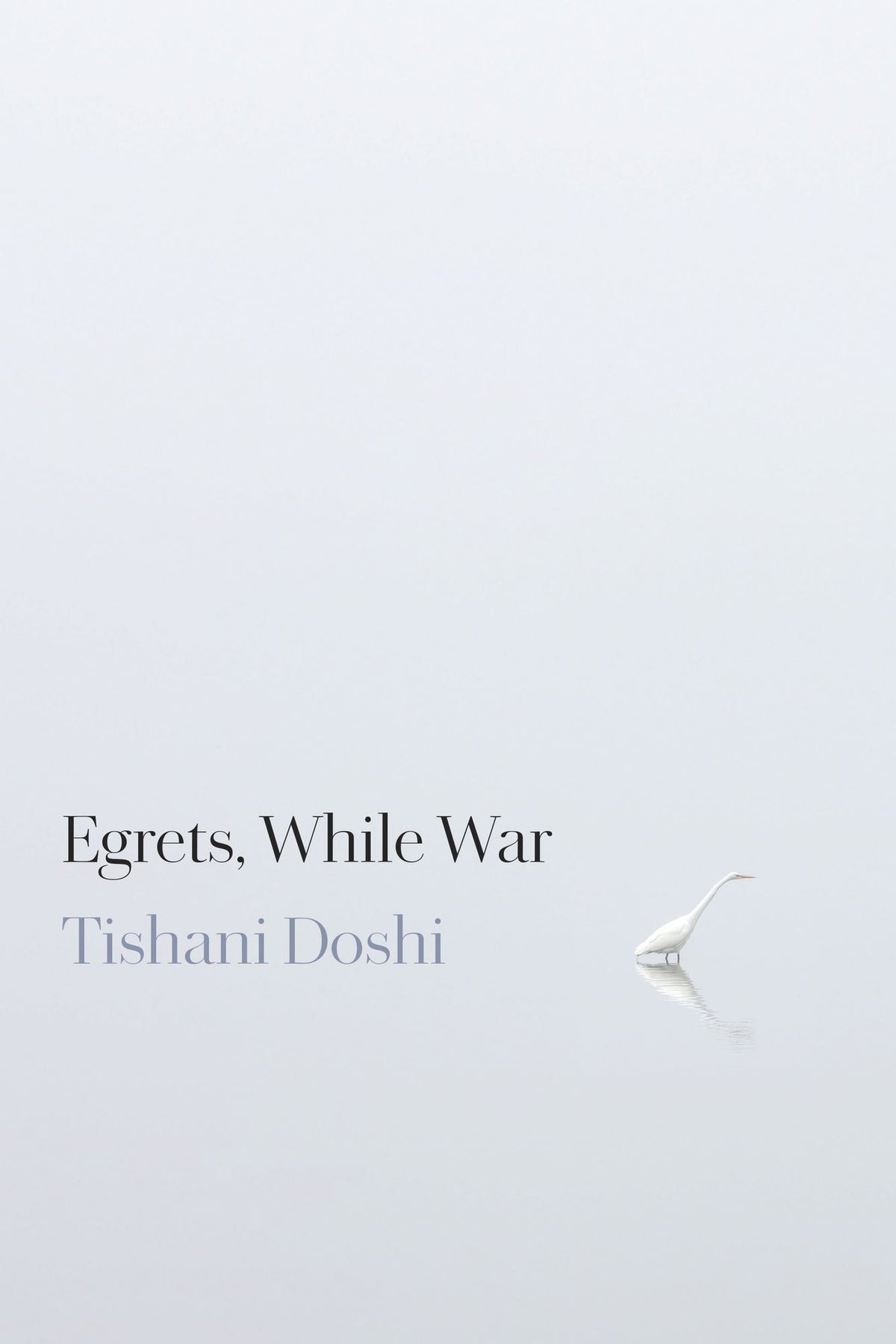 Egrets, While War