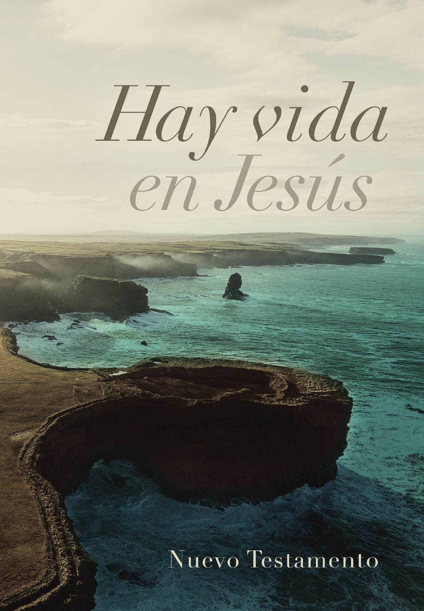 RVR 1960 Hay vida en Jesús Nuevo Testamento, mar tapa suave