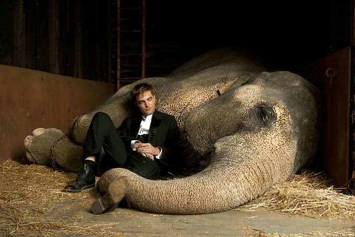 Water for Elephants: A Novel