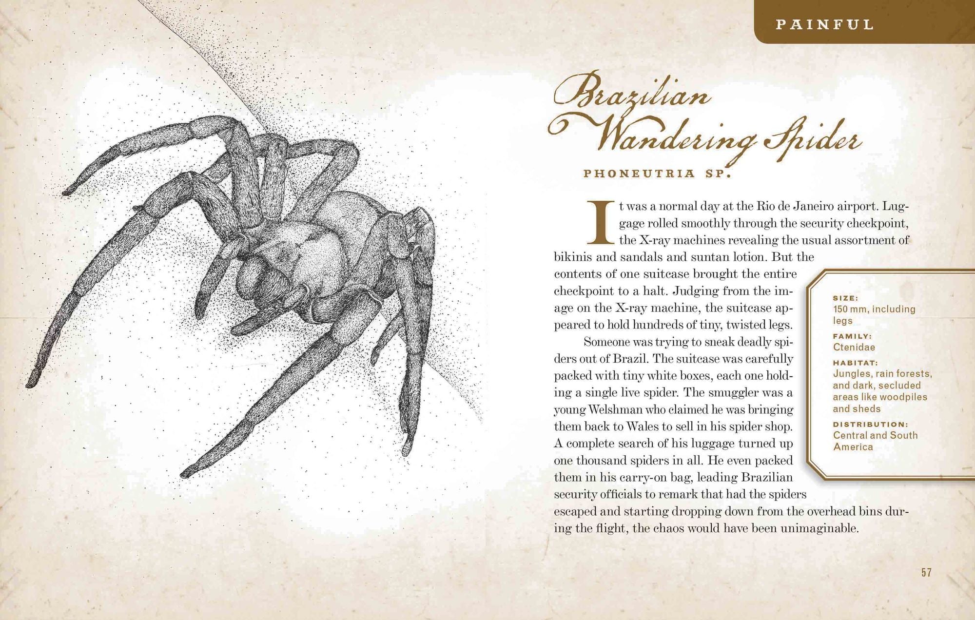 Wicked Bugs: The Louse That Conquered Napoleon's Army & Other Diabolical Insects