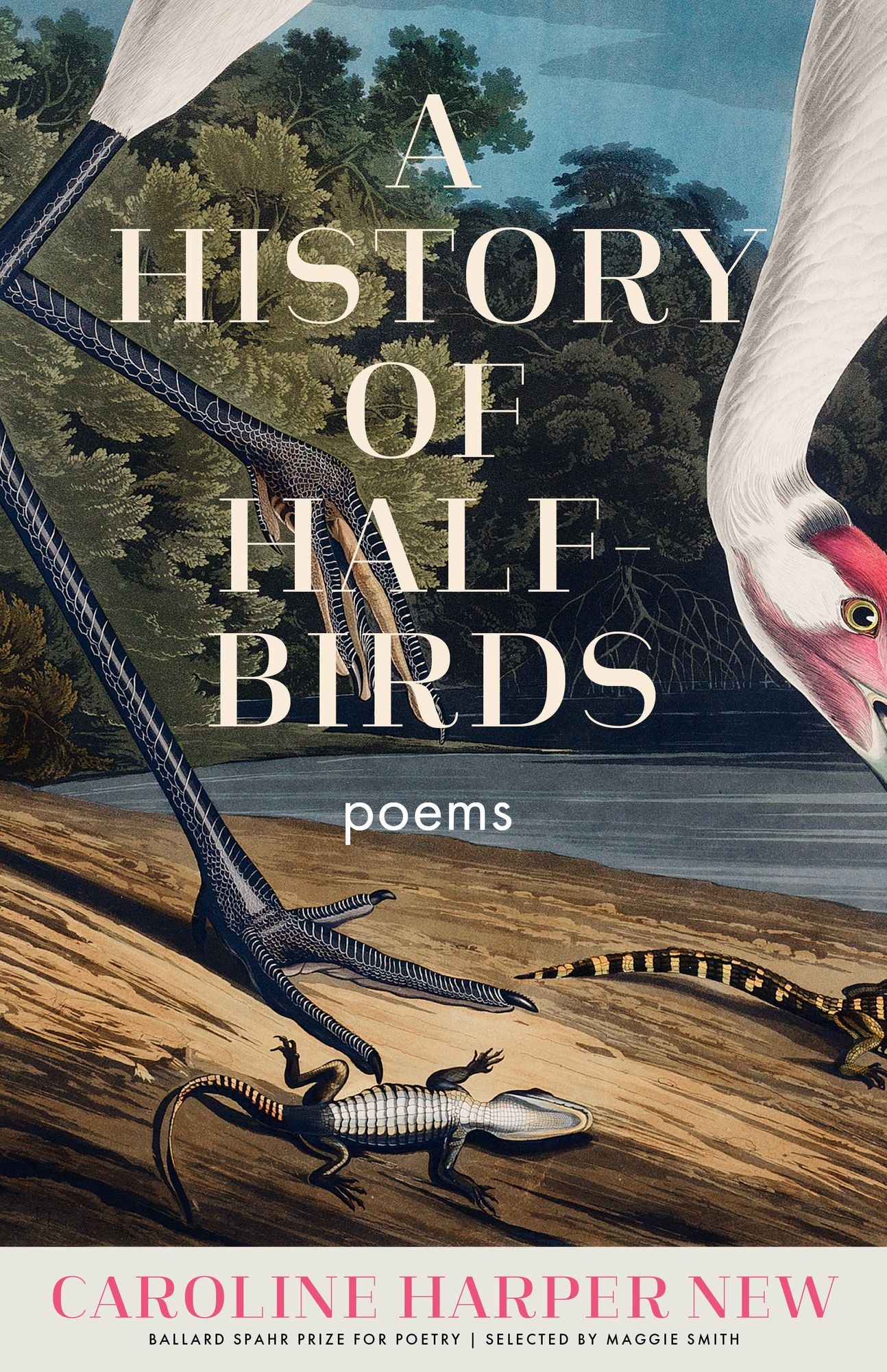 A History of Half-Birds: Poems