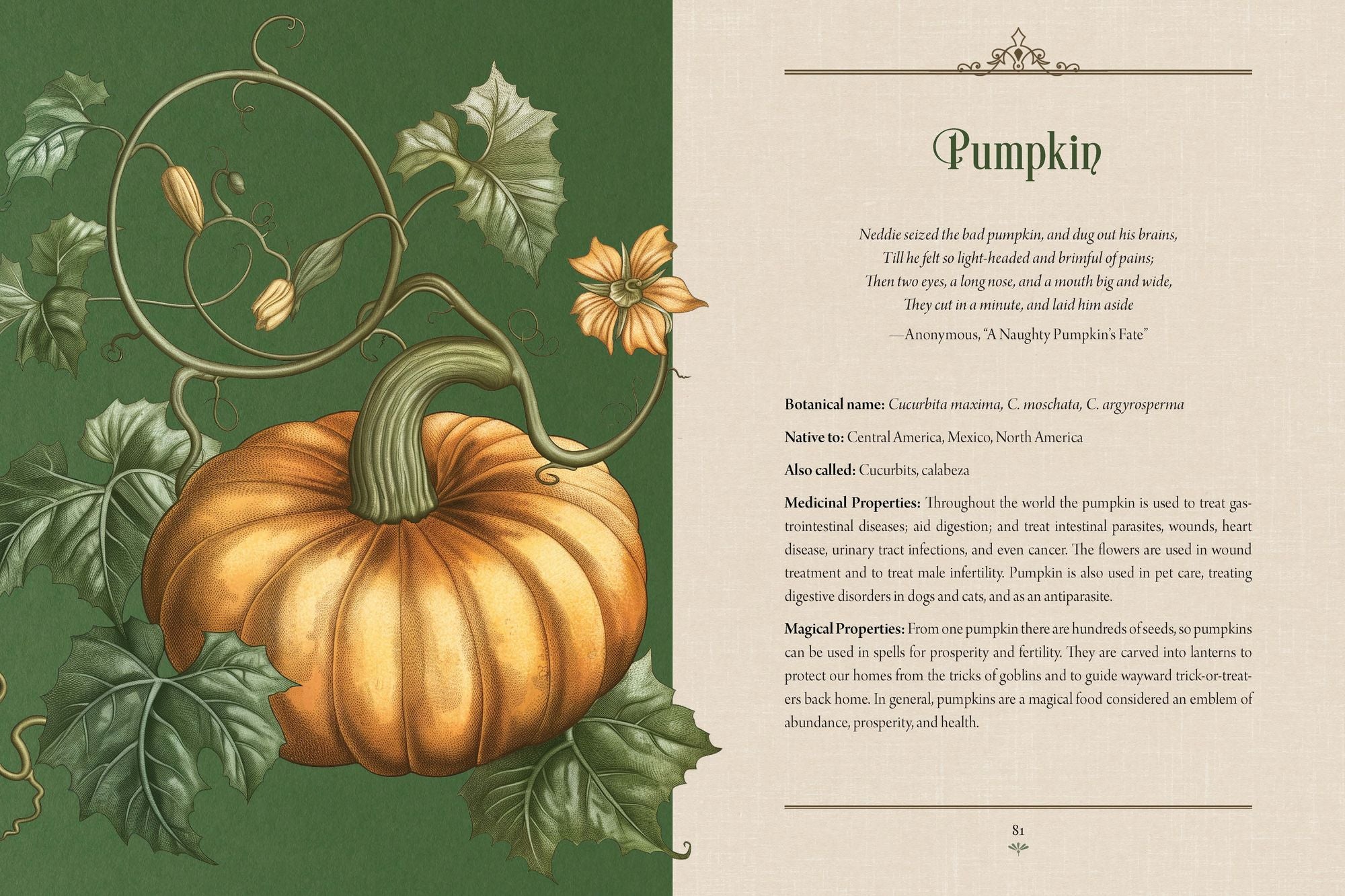 Enchanted Plants: A Treasury of Botanical Folklore and Magic