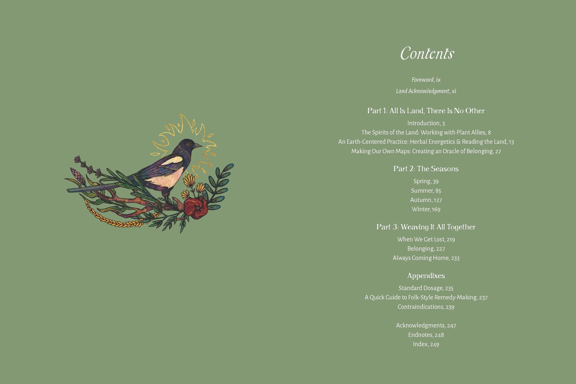 The Apothecary of Belonging: Seasonal Rituals and Practical Herbalism