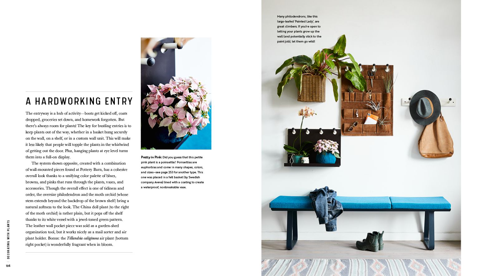 Decorating with Plants: What to Choose, Ways to Style, and How to Make Them Thrive