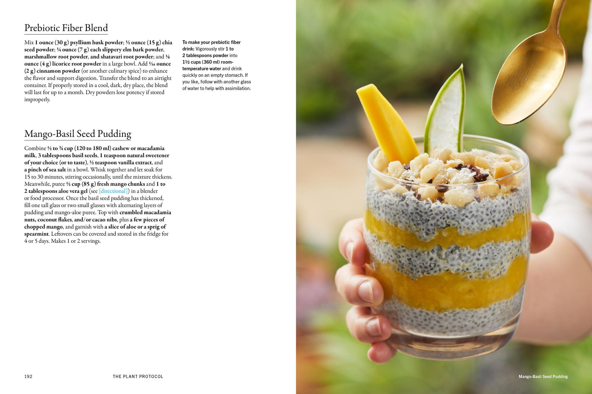 The Plant Medicine Protocol: Unlocking the Power of Plants for Optimal Health and Longevity