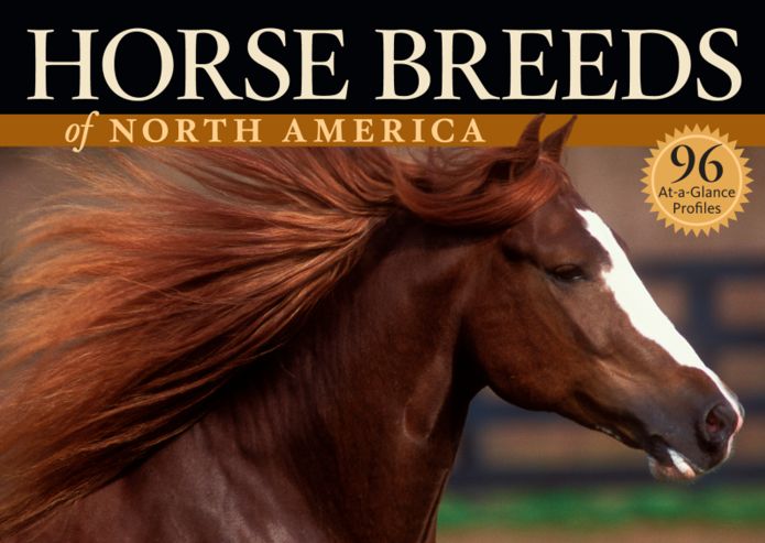 Horse Breeds of North America: The Pocket Guide to 96 Essential Breeds