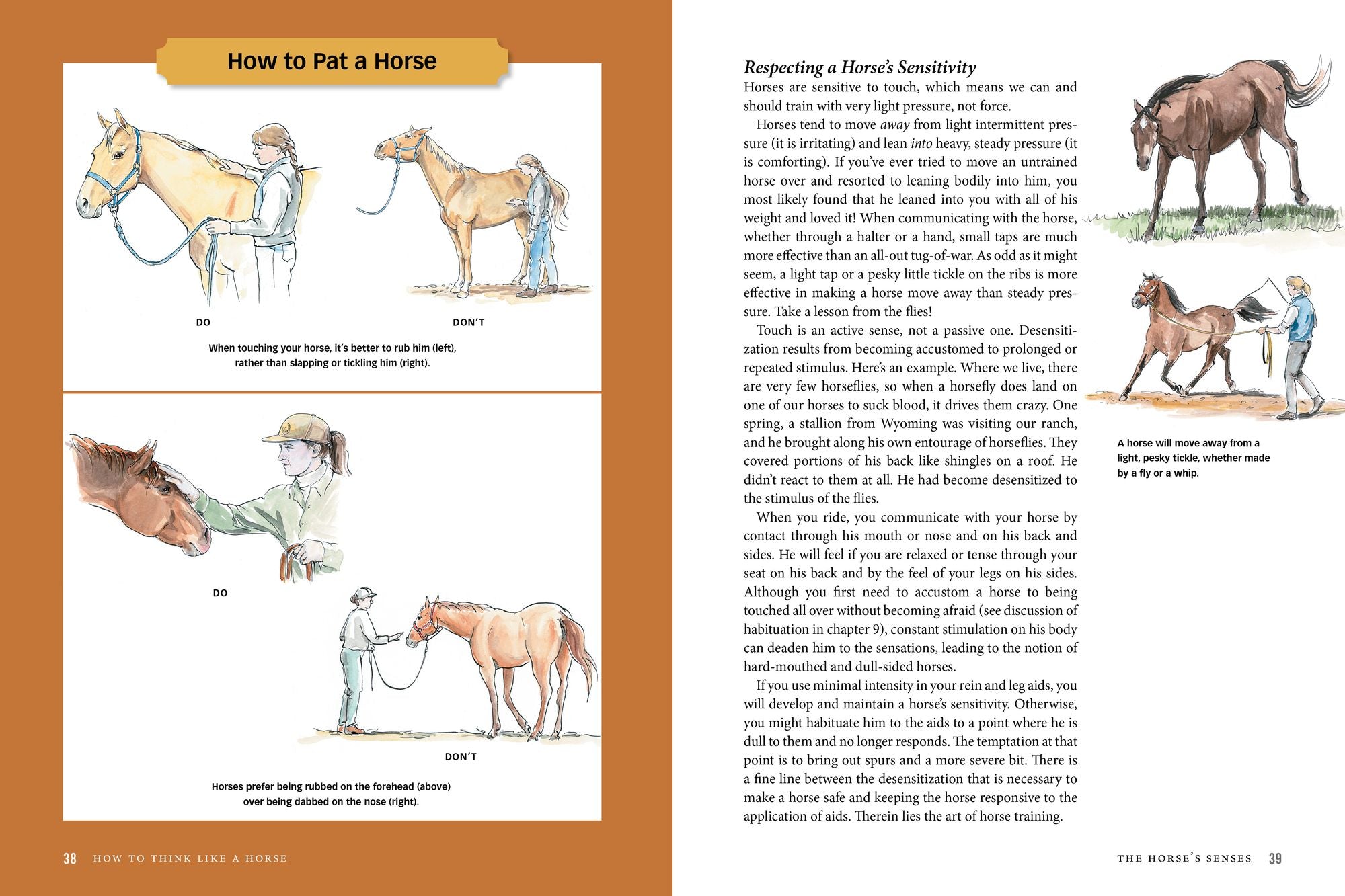 How to Think Like a Horse: The Essential Handbook for Understanding Why Horses Do What They Do
