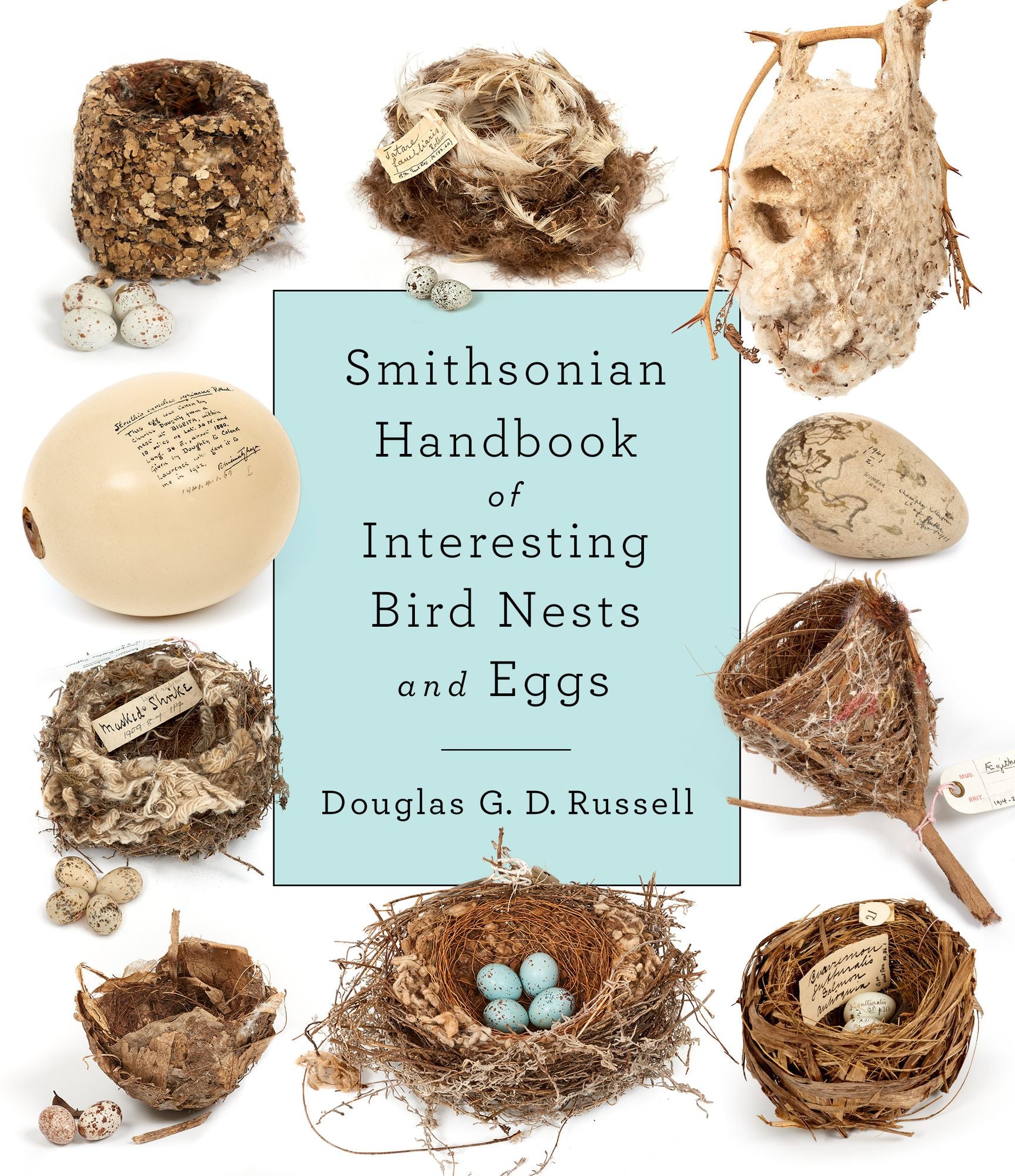 Smithsonian Handbook of Interesting Bird Nests and Eggs