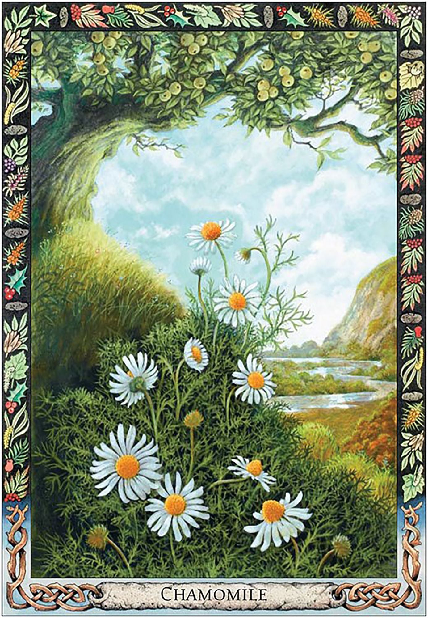 The Druid Plant Oracle: Working with the Magical Flora of the Druid Tradition (36 Cards and 144 Page Guidebook)