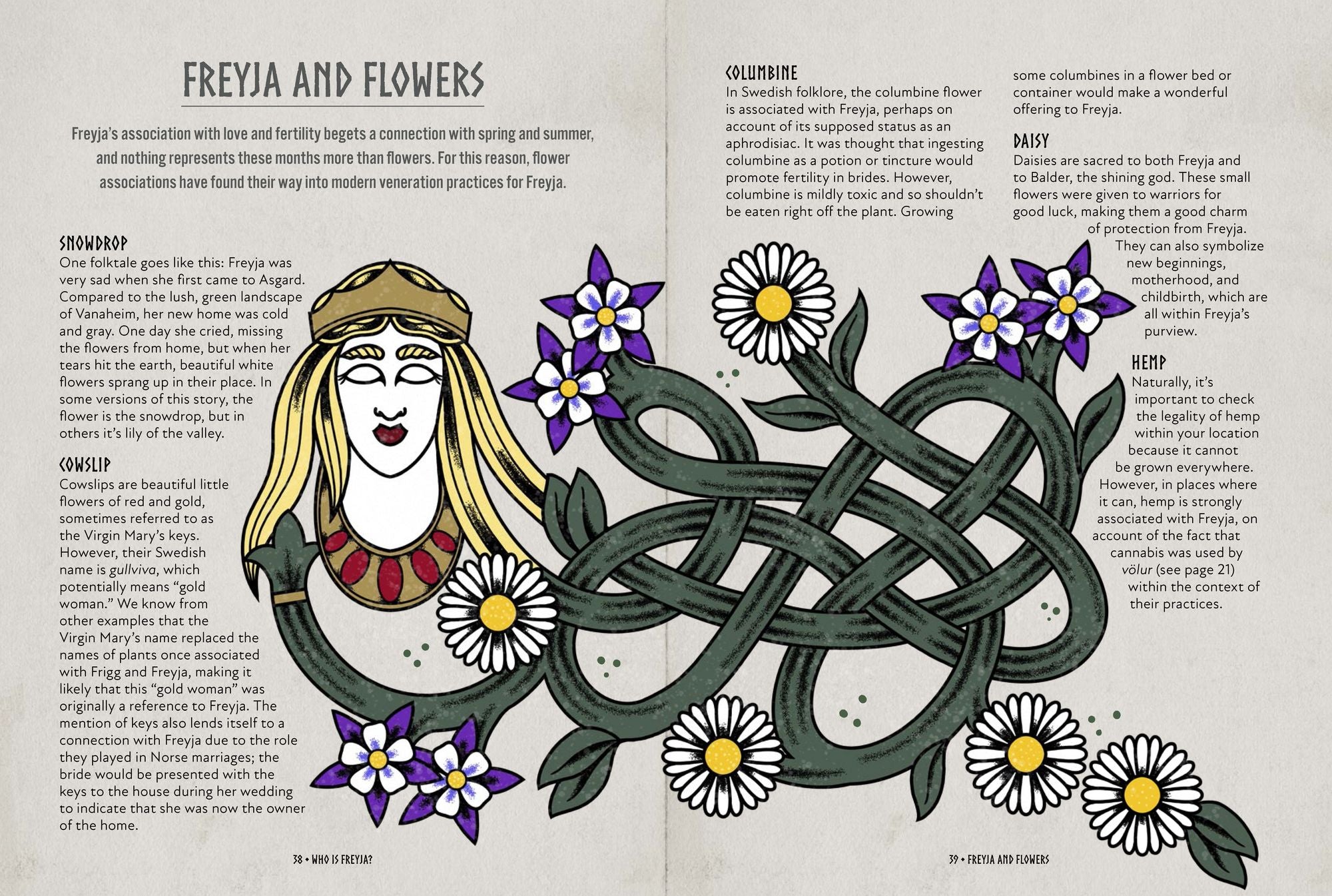 Freyja: An Illustrated Guide to the Goddess of Magic, Love, and War
