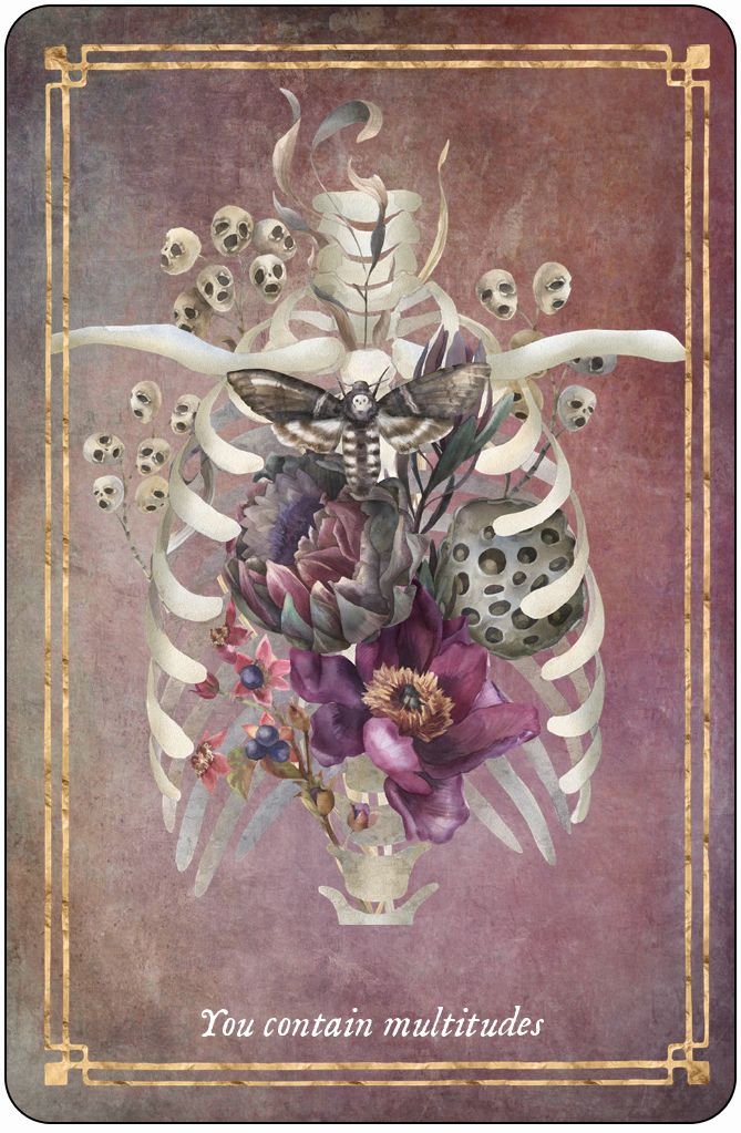Memento Mori: 36 Mini Affirmation Cards to Embrace Life
