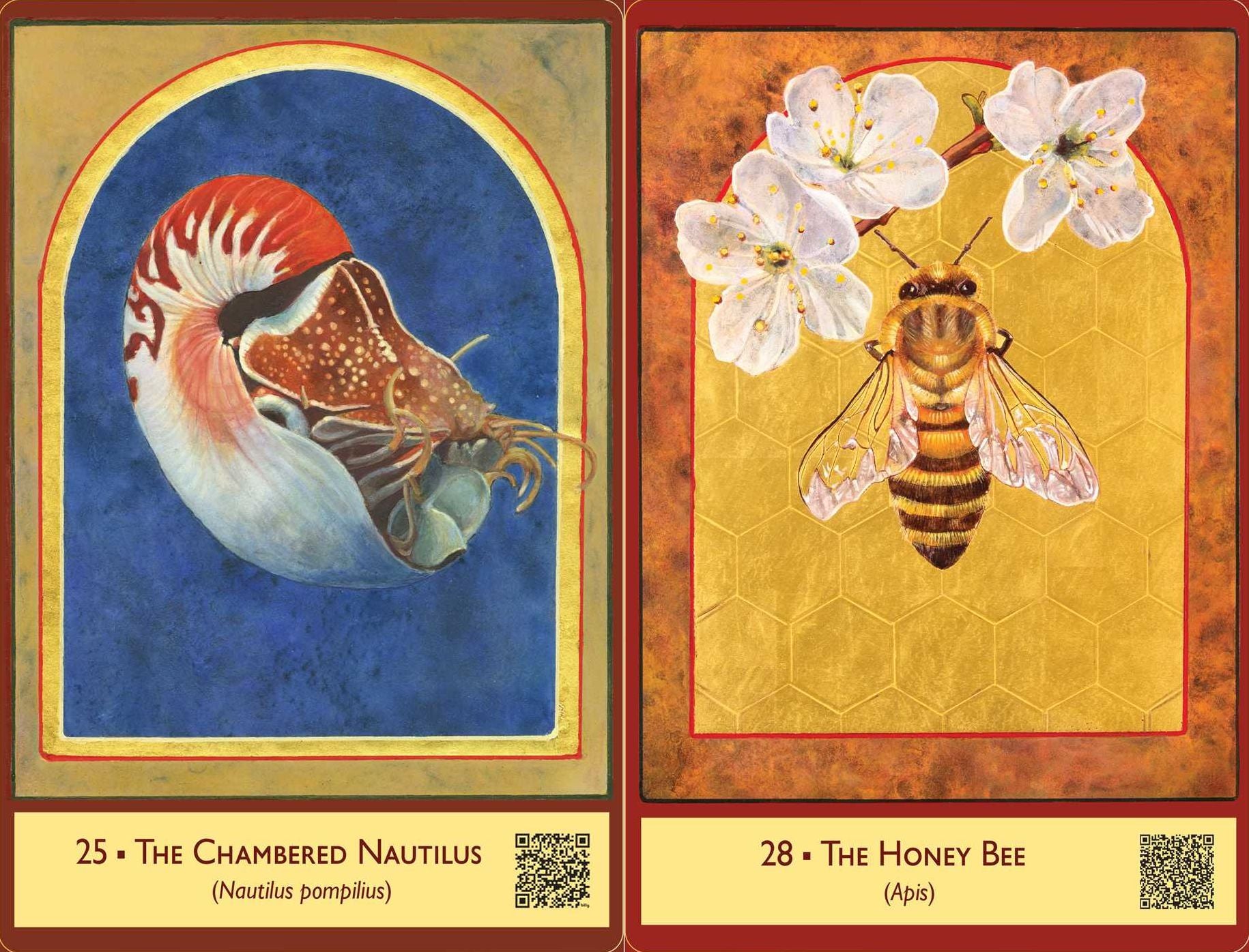 The Sacred Biodiversity Oracle: A 36-Card Deck and Guidebook
