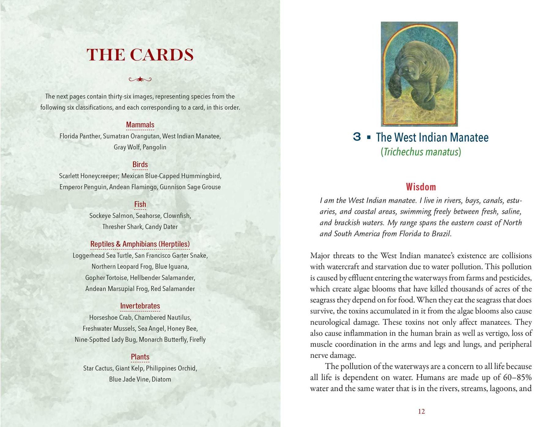 The Sacred Biodiversity Oracle: A 36-Card Deck and Guidebook