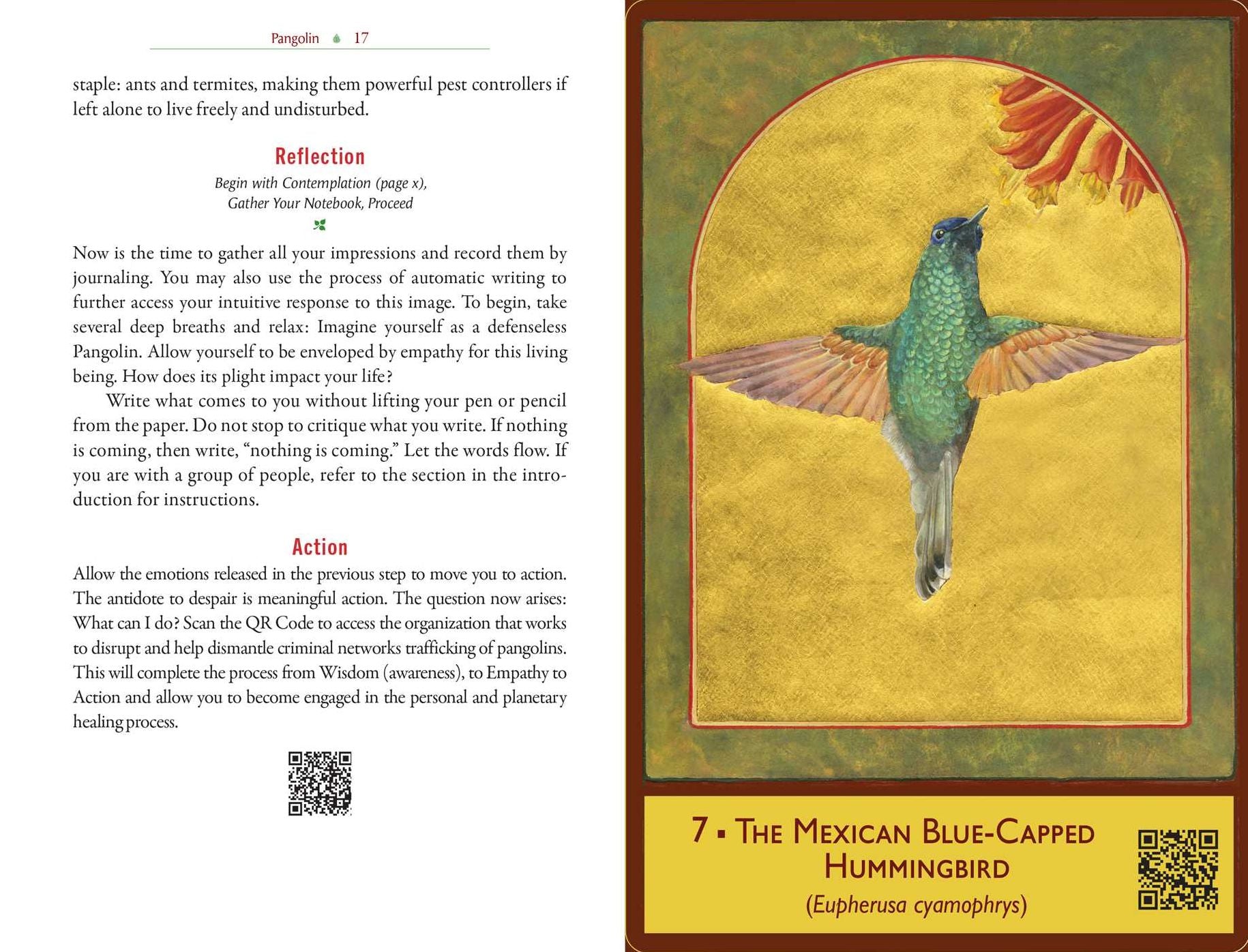 The Sacred Biodiversity Oracle: A 36-Card Deck and Guidebook