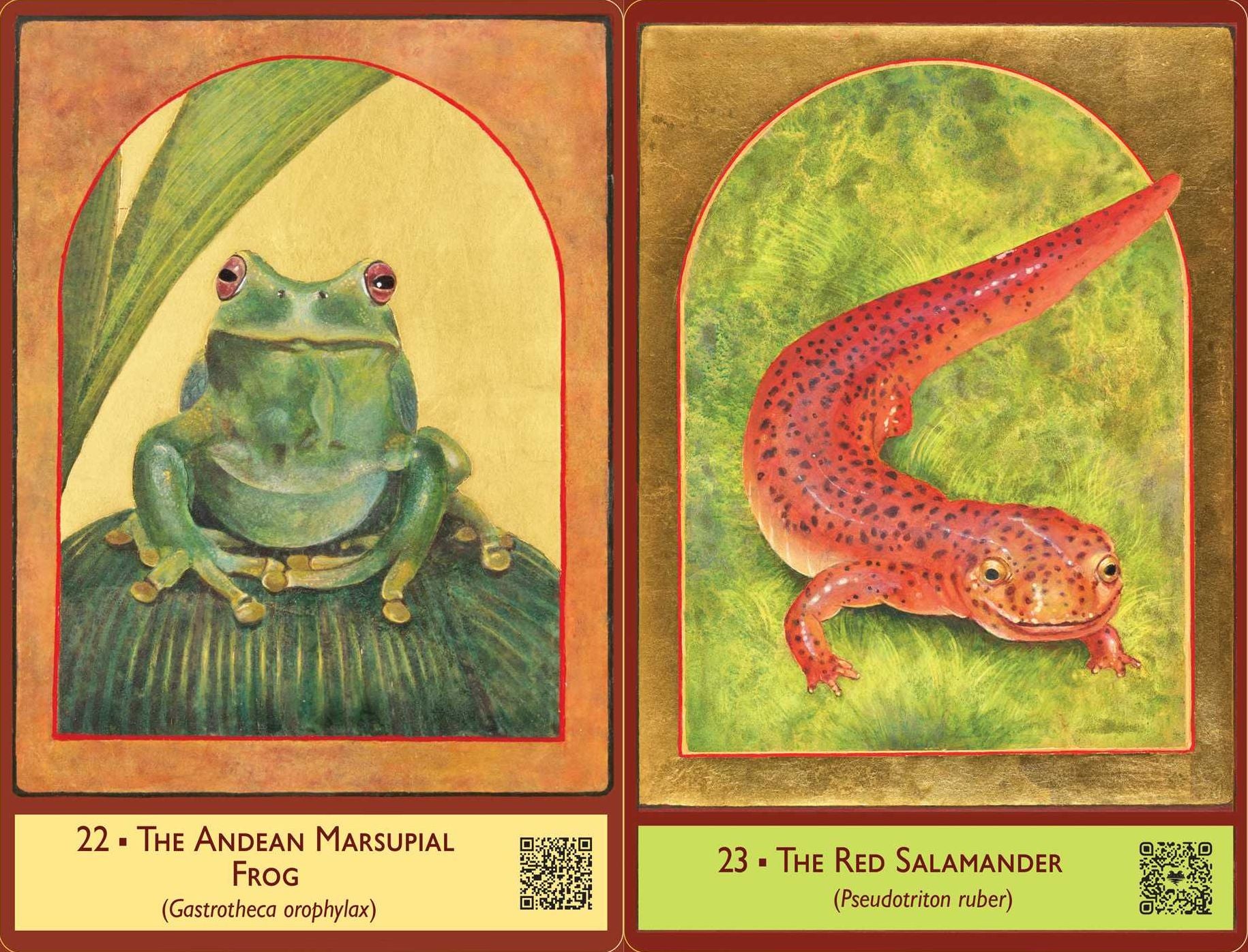 The Sacred Biodiversity Oracle: A 36-Card Deck and Guidebook