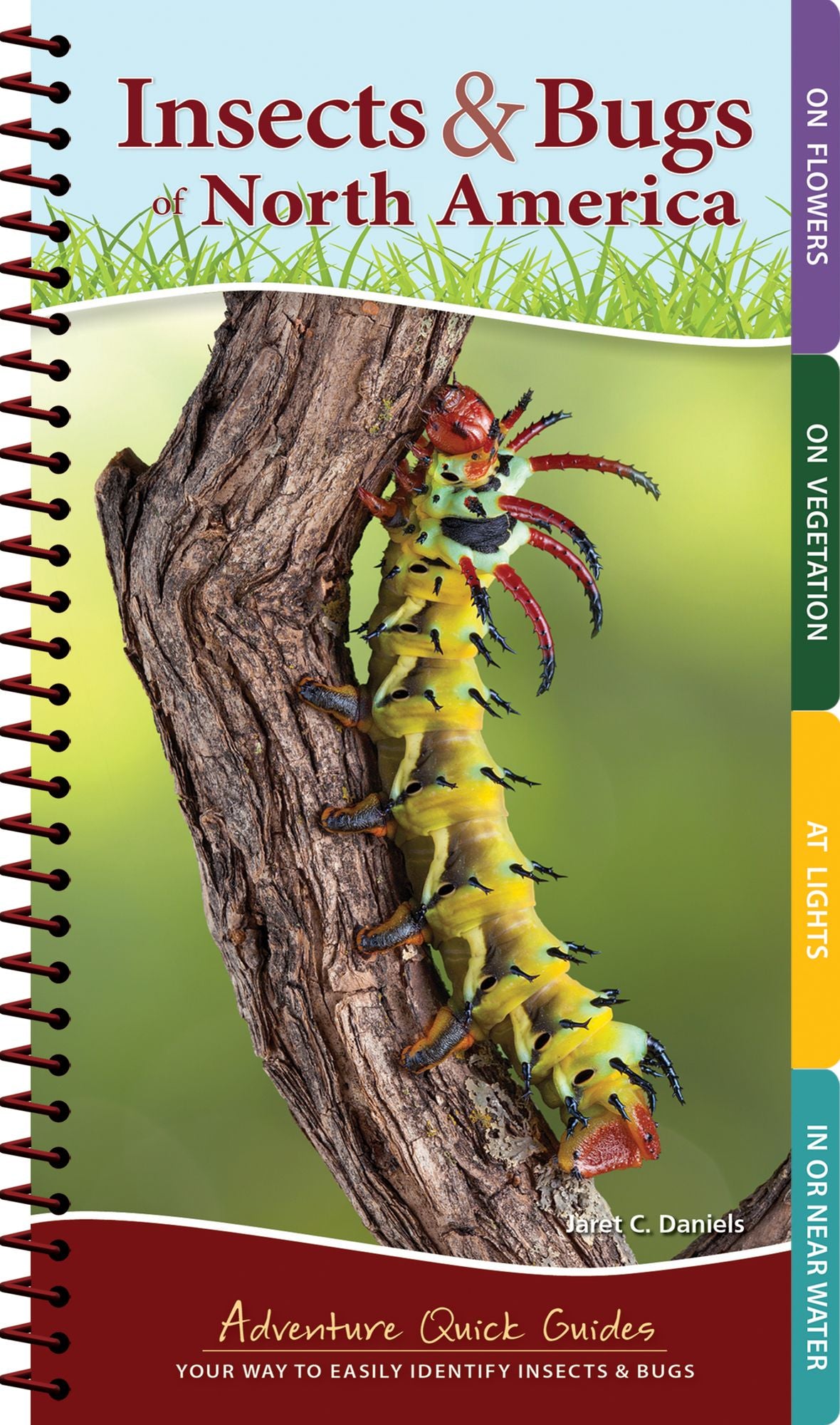 Insects & Bugs of North America: Your Way to Easily Identify Insects & Bugs