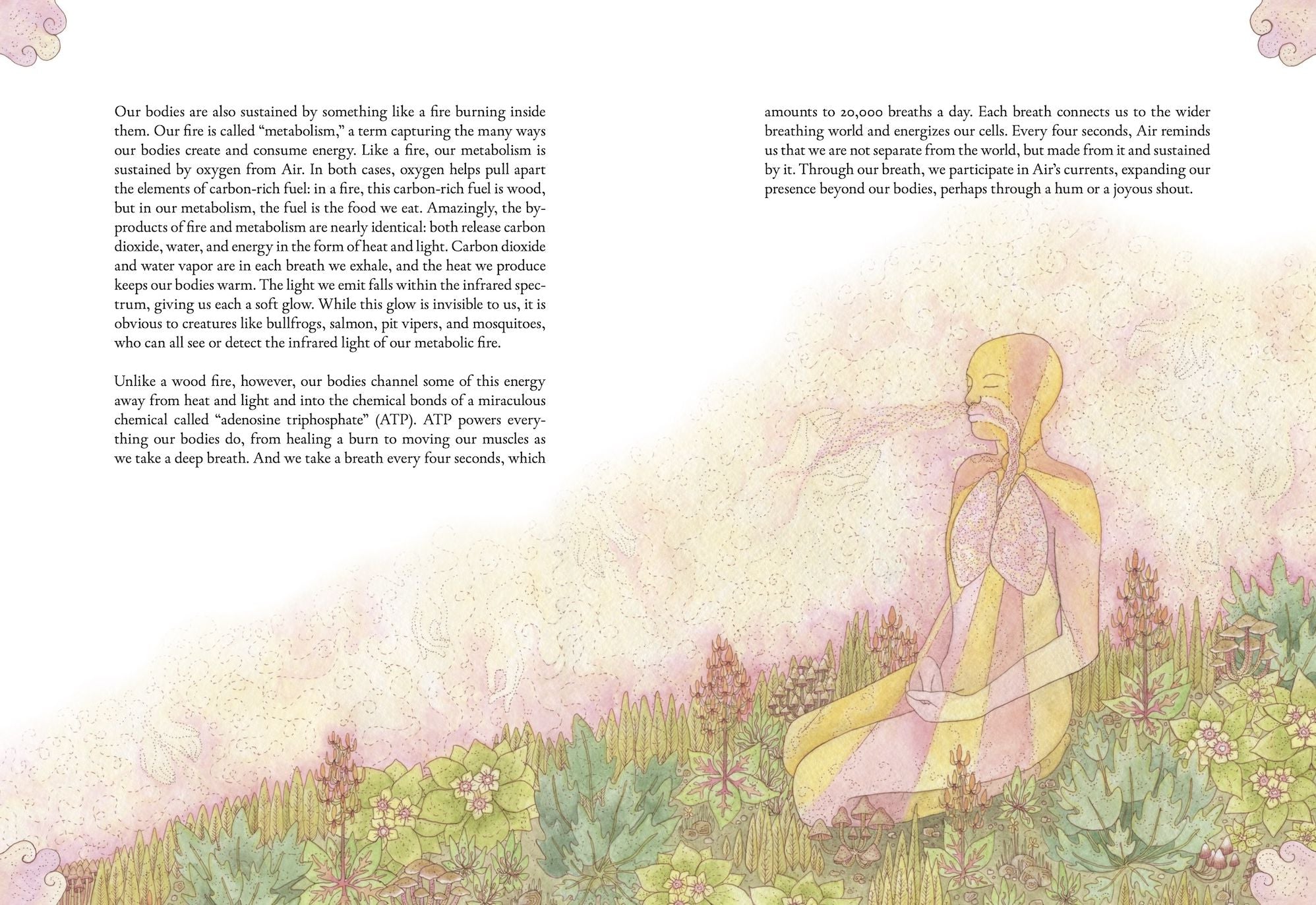 The Forgotten Teachers: How Nature Wrote the Story of Life