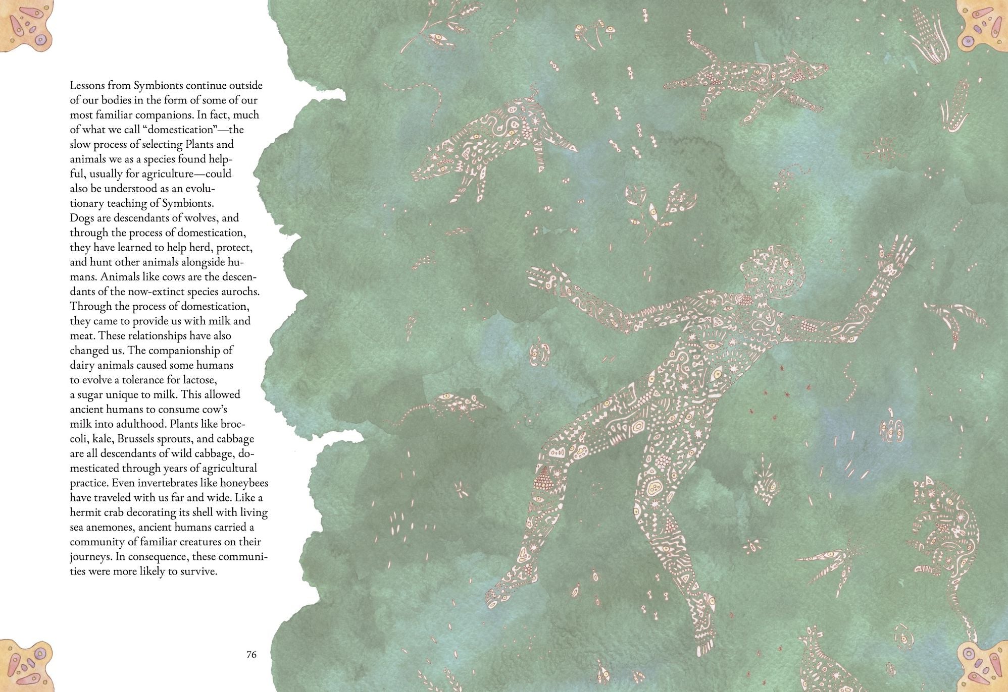 The Forgotten Teachers: How Nature Wrote the Story of Life